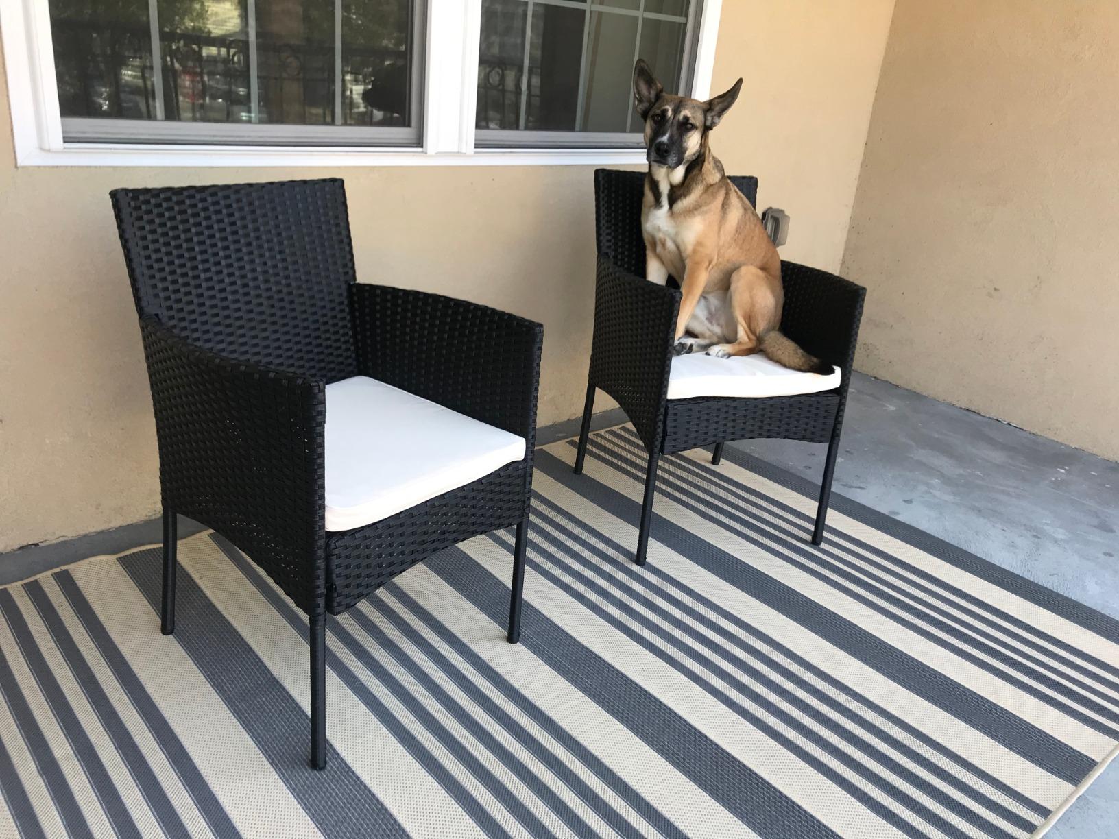 3PCS Patio Bar Set Outdoor Furniture Set Wicker Bistro Set with Two Stools for Patio Backyard Balcony,Blue Cushion customer photo 1