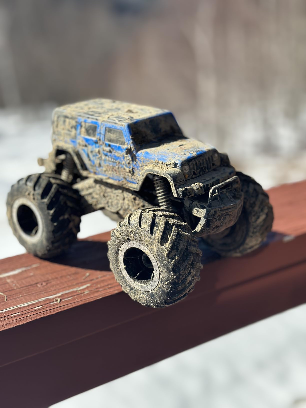 Threeking 1:16 Amphibious Monster Truck All Terrain Remote Control Car Toys customer photo 2