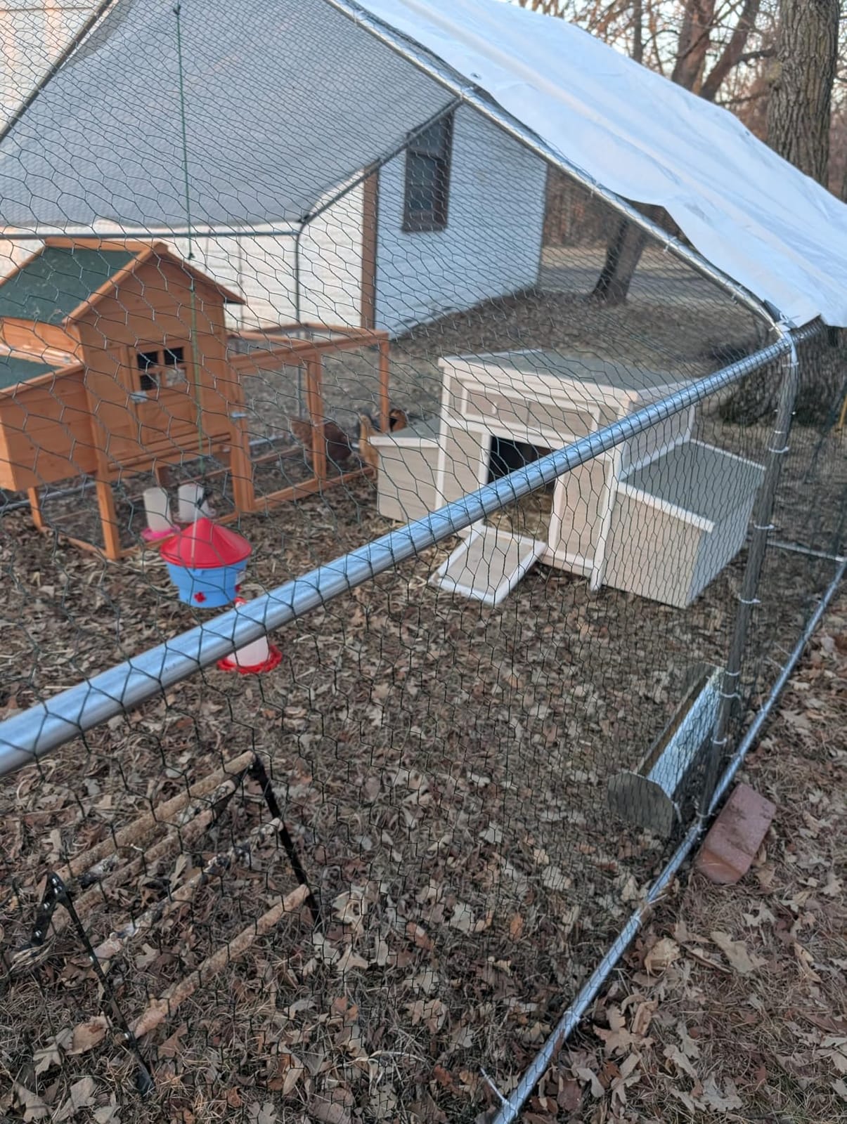 13x9.8x6.5 ft Large Metal Chicken Coop Walk-in Chicken Run with Cover customer photo 1