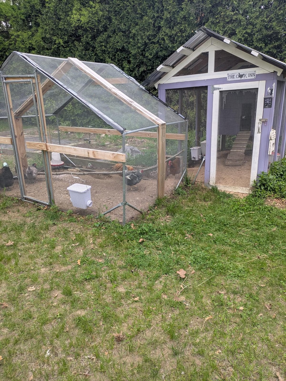 13x9.8x6.5 ft Large Metal Chicken Coop Walk-in Chicken Run with Cover customer photo 2