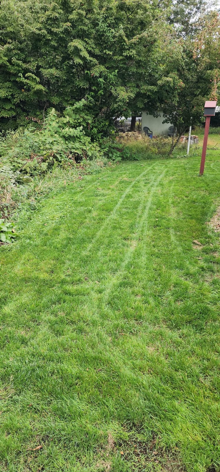 Greenworks 60V 21in Push Lawn Mower, 5.0 Ah Battery and Charger customer photo 1