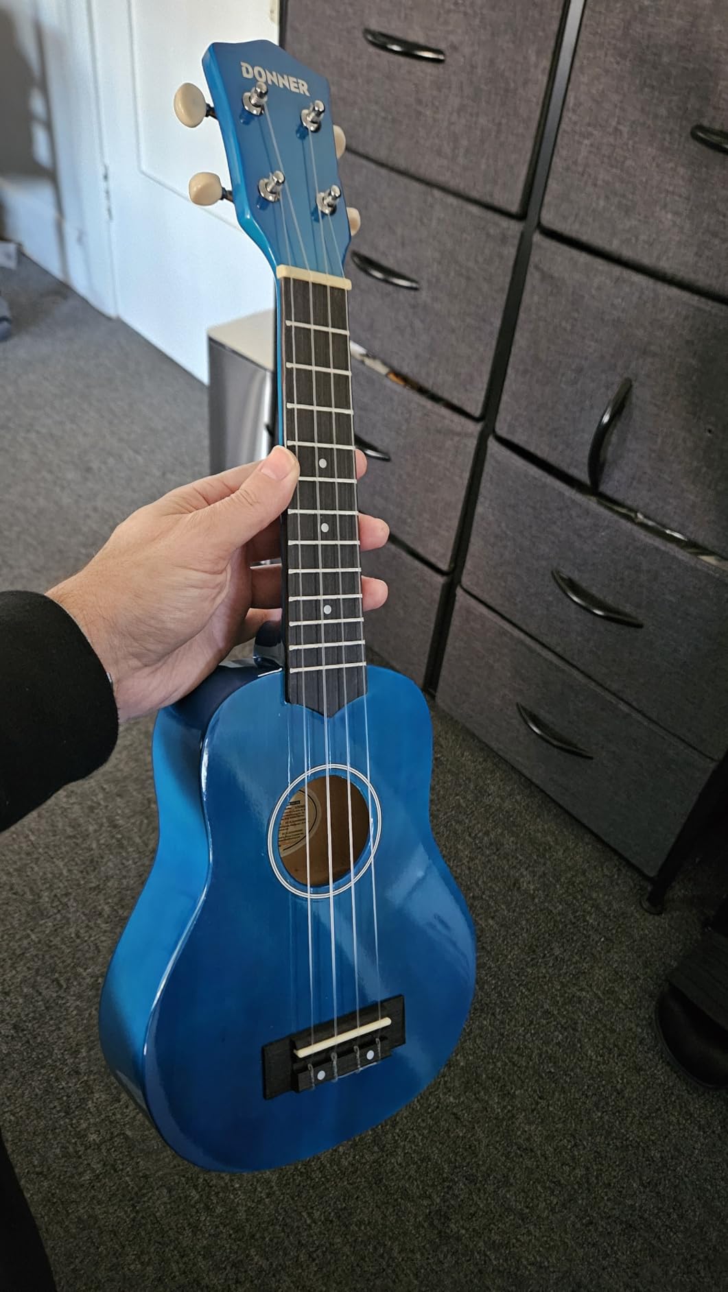 Donner Soprano Ukulele for Beginner 21 Inch Matte Ukulele Beginner Kit with Bag Strap Tuner Strings Picks Cloth, Free Online Lessons, Kids Holiday Christmas & Birthday Gift (Light Pink) customer photo 1
