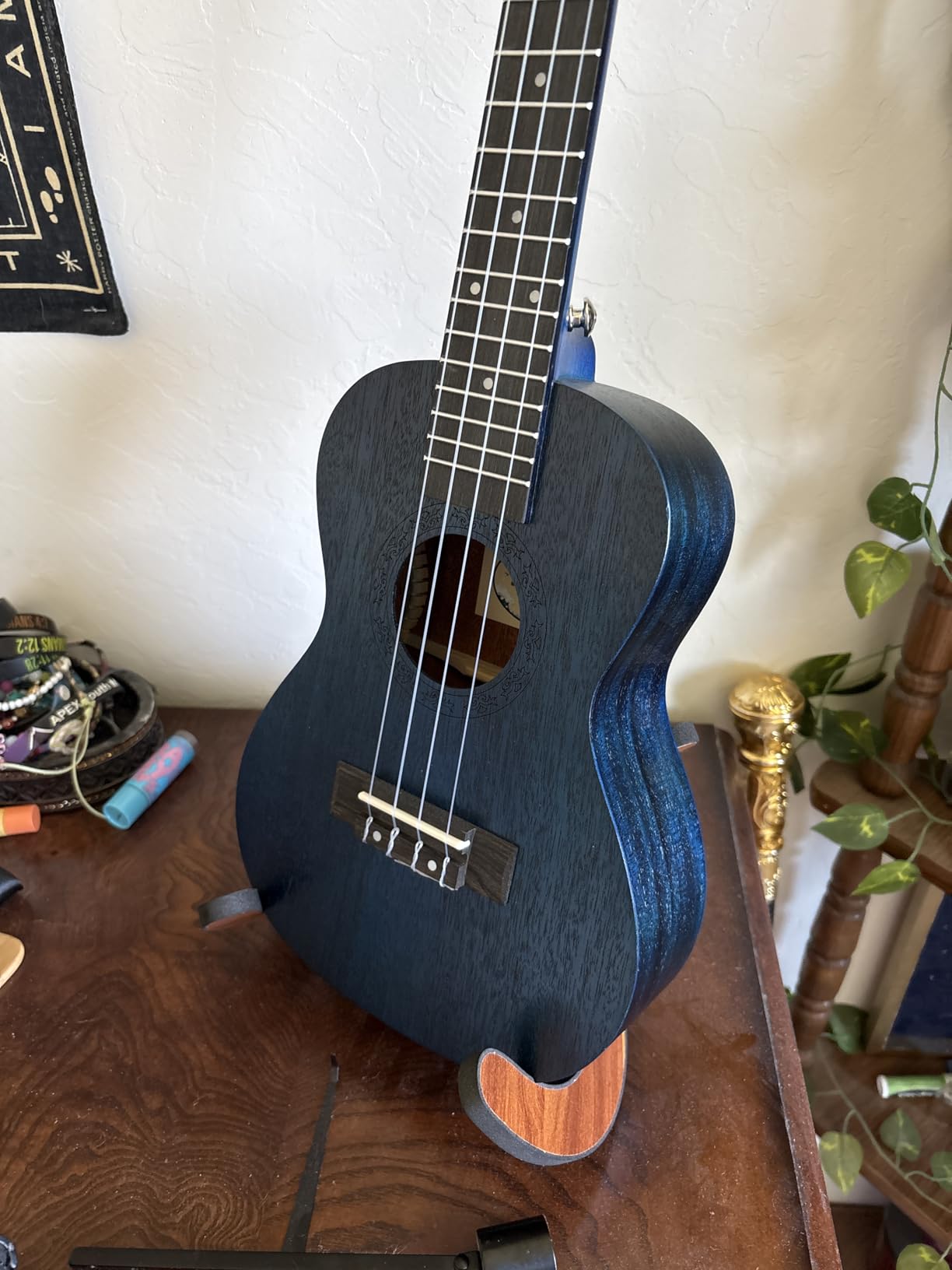 AODSK Soprano Blue Ukulele for Beginner 21 Inch Ukelele with Gig Bag Strap Nylon String 4 Picks Holiday Gift customer photo 2