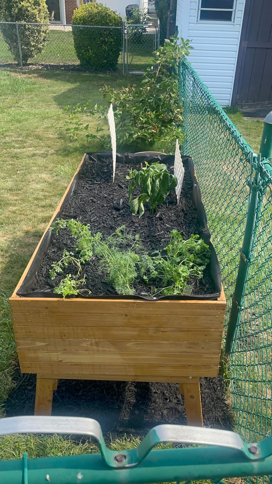 VEIKOU 6x3x2FT Raised Garden Bed, Outdoor Oversize Planter Box with Liner, Cedar Garden Bed with Legs for Vegetables Flower Herb, 837lbs Capacity, Rustic Brown customer photo 2