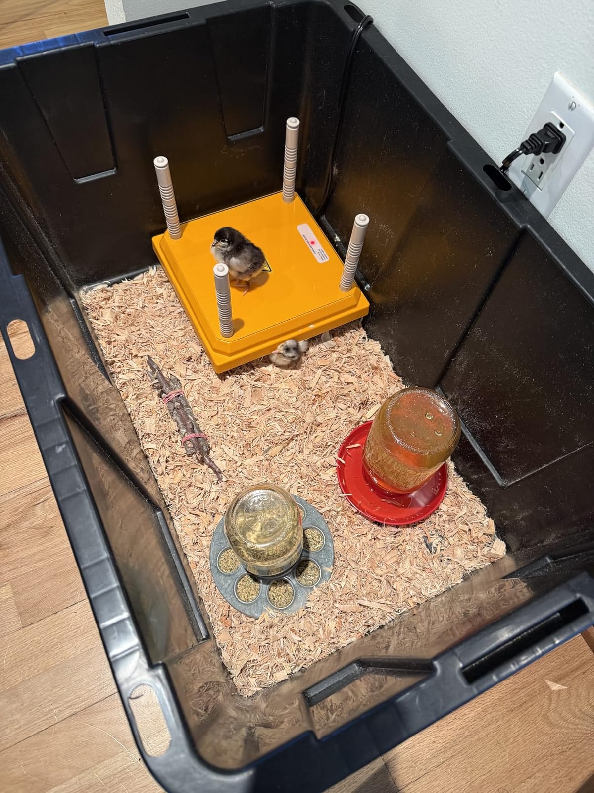 NUGRIART Brooder Heater for Chicks, 10