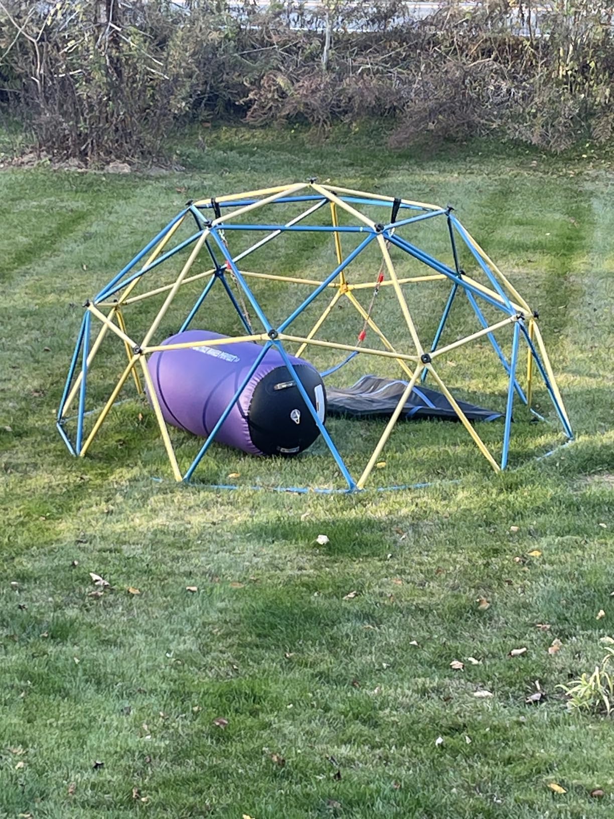Hapfan 10 ft Climbing Dome with Hammock and Swing Seat customer photo 1