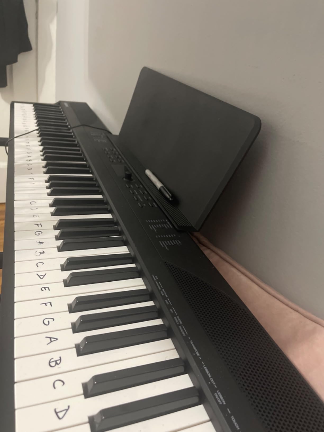 Alesis Recital Play 88-Key Piano Keyboard Bundle customer photo 2