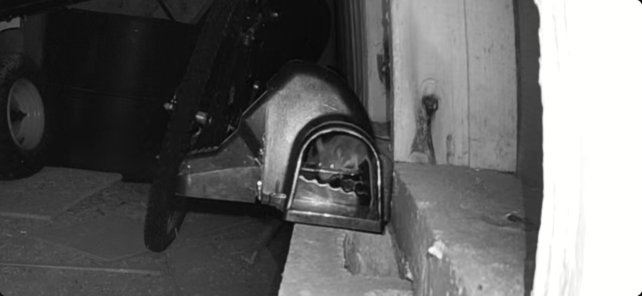 Large Rats Traps, Mouse Traps, Tunnel Snap Trap, 4 Count customer photo 1