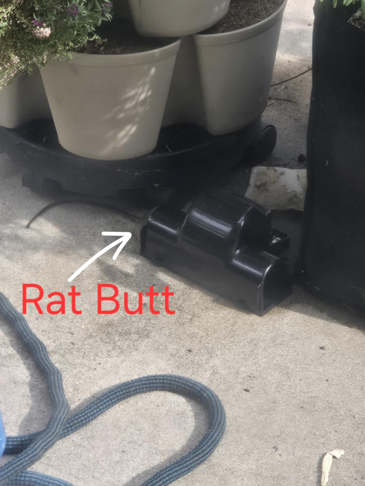 Large Rats Traps, Mouse Traps, Tunnel Snap Trap, 4 Count customer photo 2