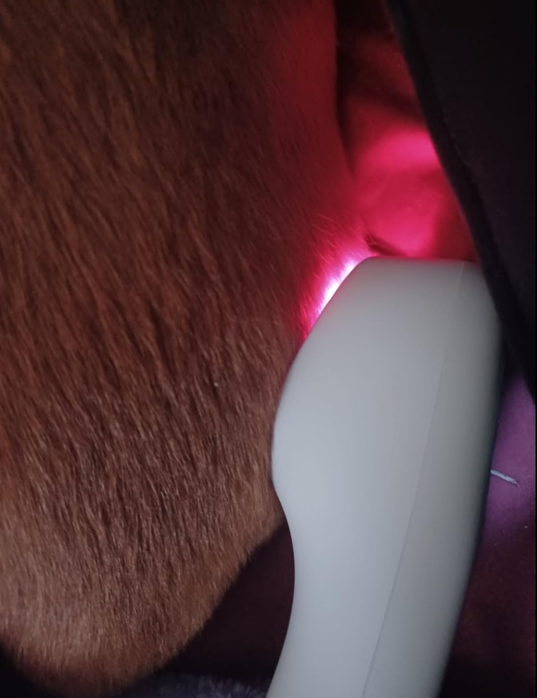 Holsn Red Light Therapy Infrared Light Tharepy, Red Light Device for Body Pain Relief, Joint, Muscle & Tissue 14 * 650nm + 3 * 808nm customer photo 2