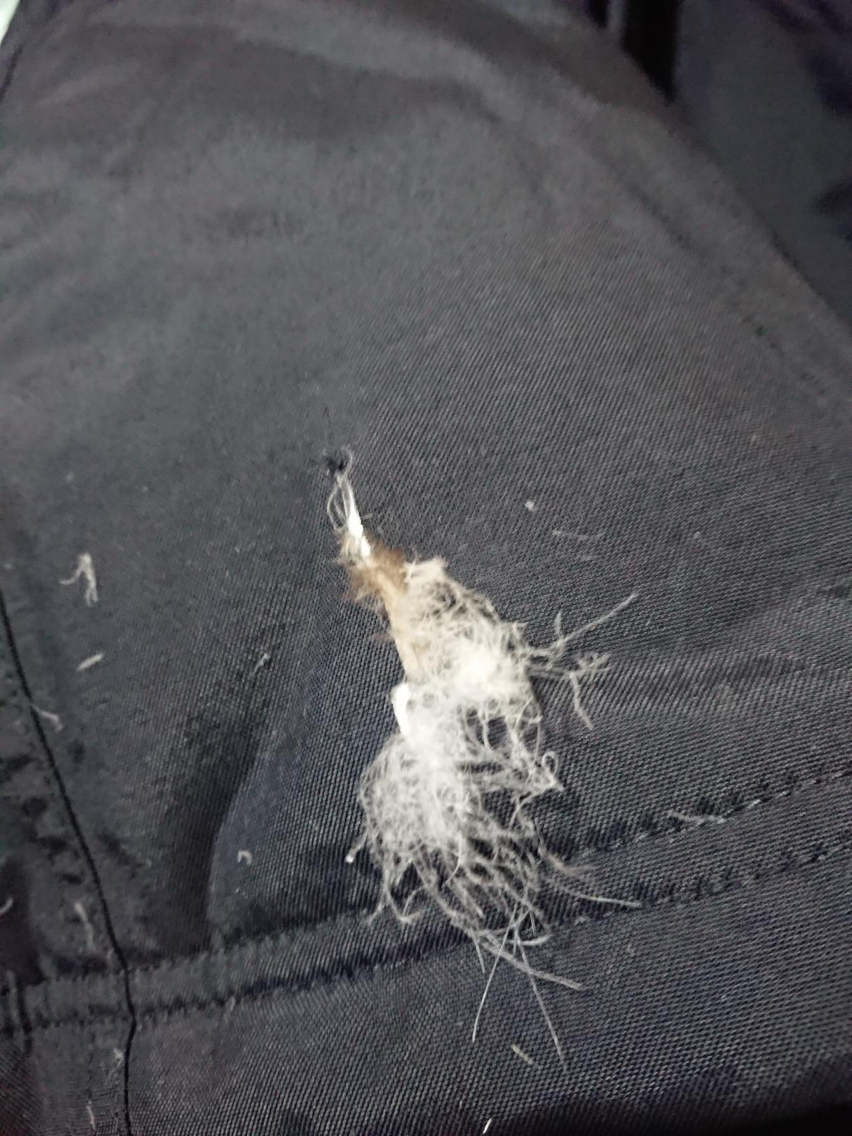 The North Face Men's McMurdo Parka | Long Waterproof Winter Jacket With 600 Fill Waterfowl Down Insulation customer photo 2