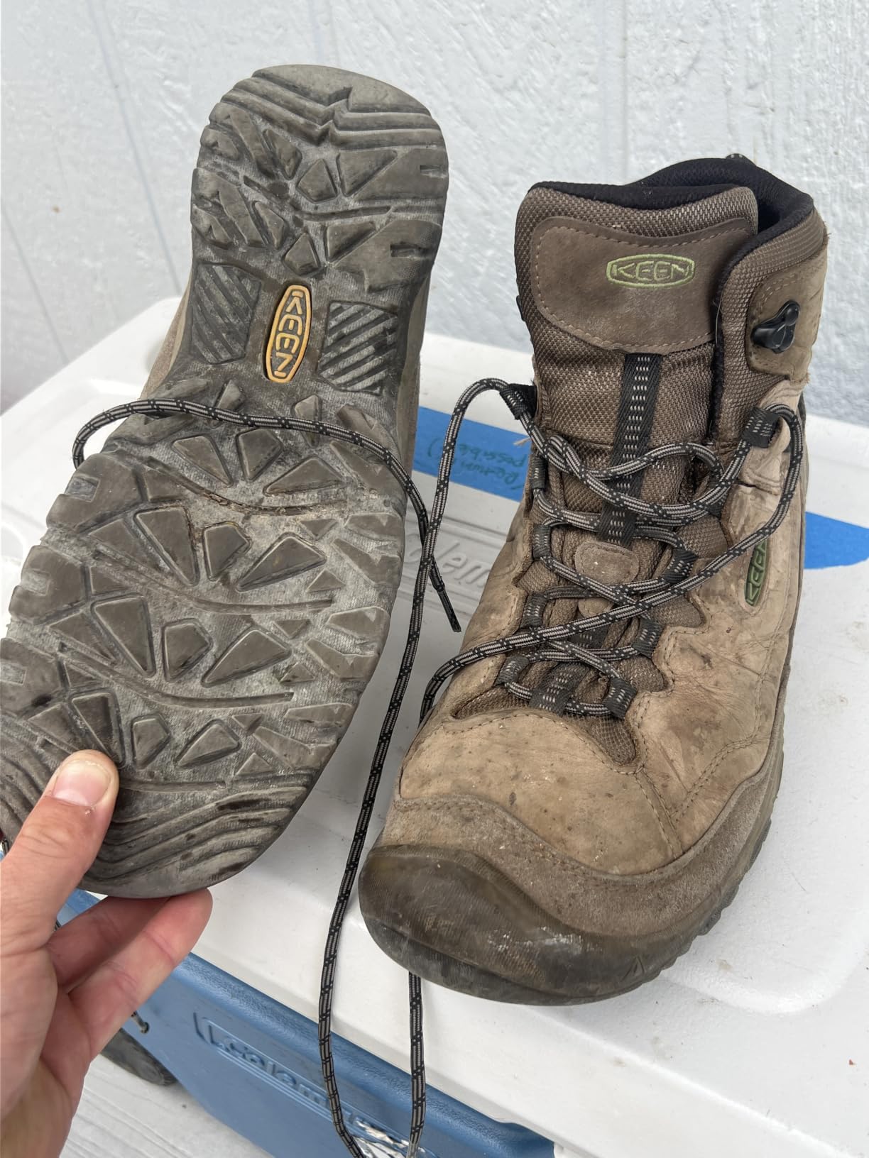 KEEN Men's Targhee 4 Mid Height Waterproof Hiking Boots customer photo 2