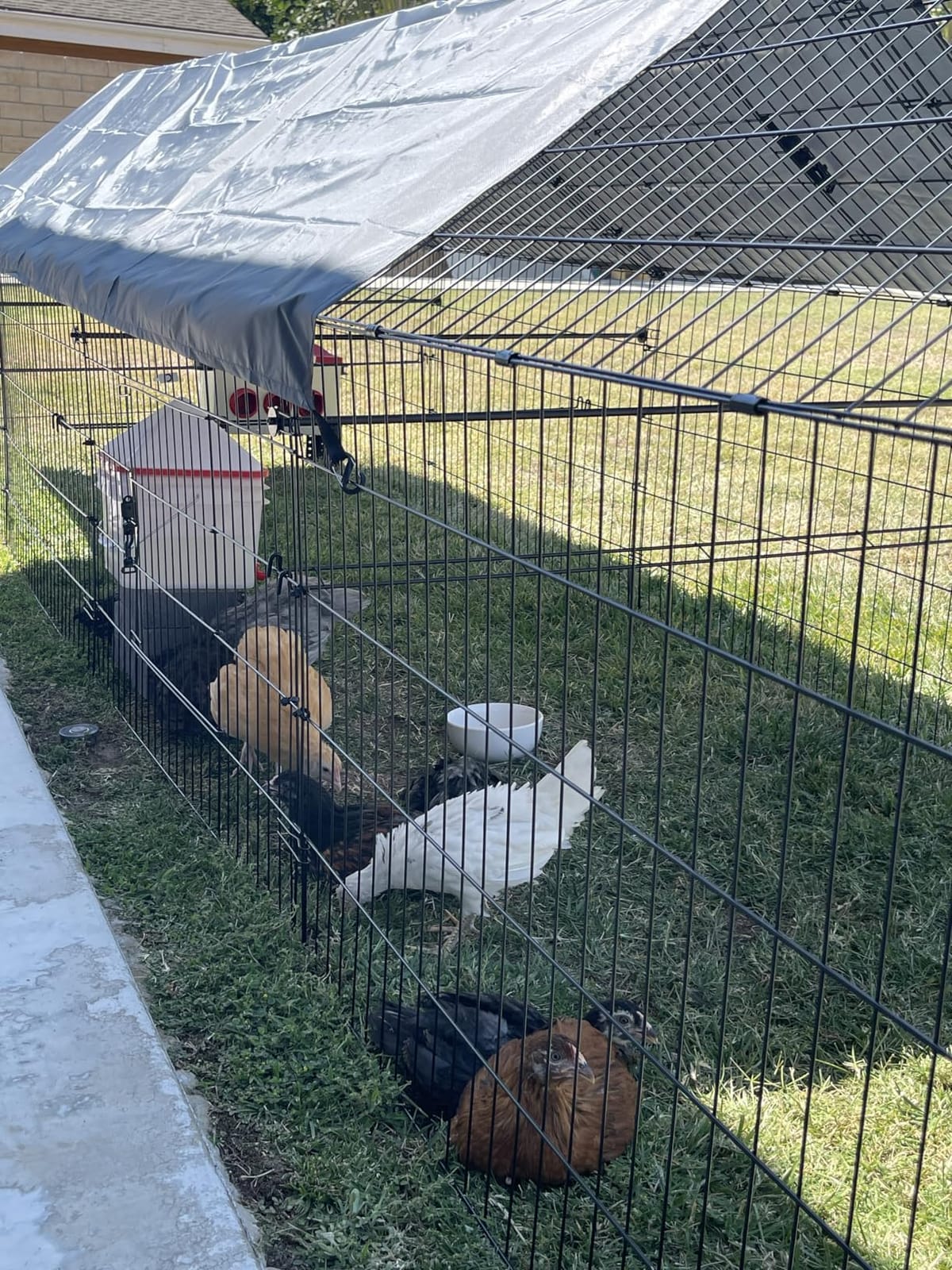 Chicken Coop, 21ft x 3.5ft Chicken Run Pen with Cover for Yard customer photo 1