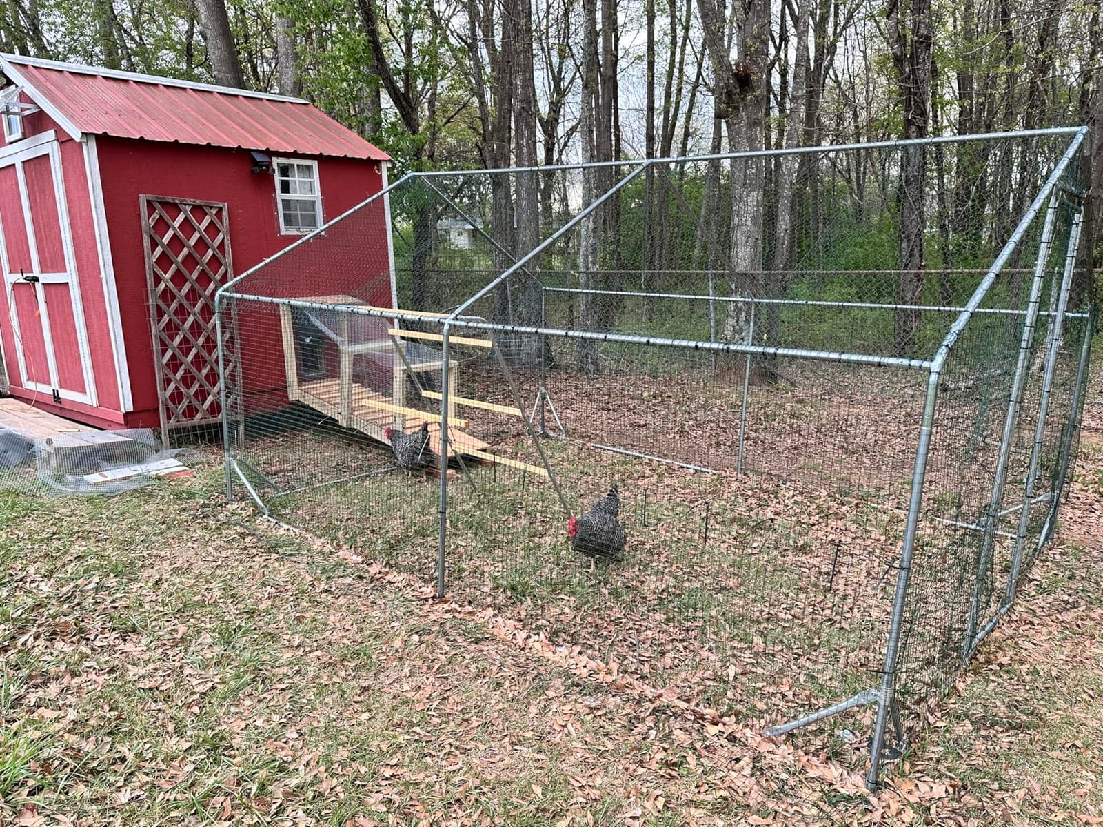 Quictent Large Metal Chicken Coop Run for 30+ Poultry w/Side Hardware Cloth customer photo 1