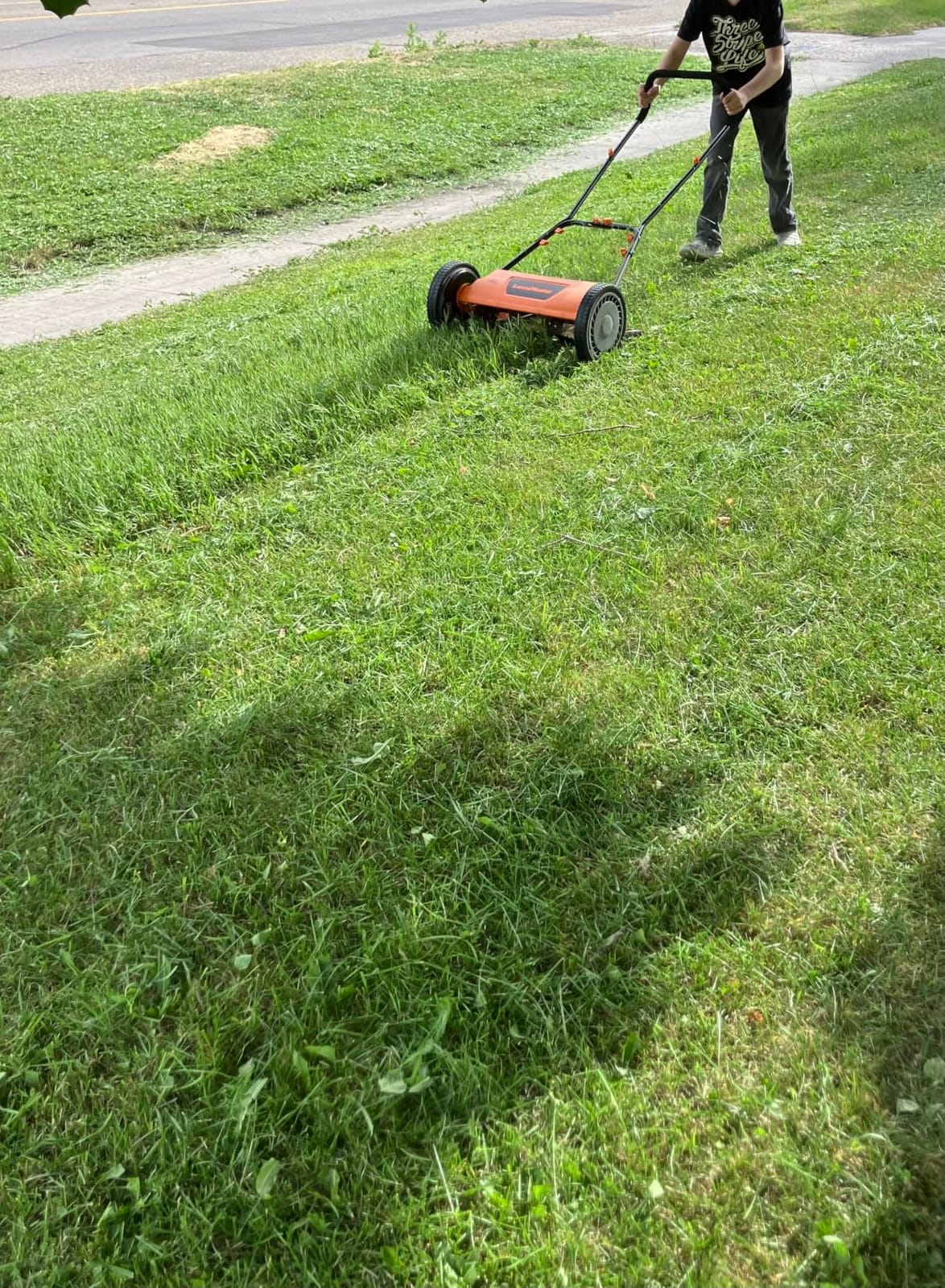 LawnMaster LMRM1602 Push Reel Lawn Mower 16-Inch 5-Blade customer photo 2
