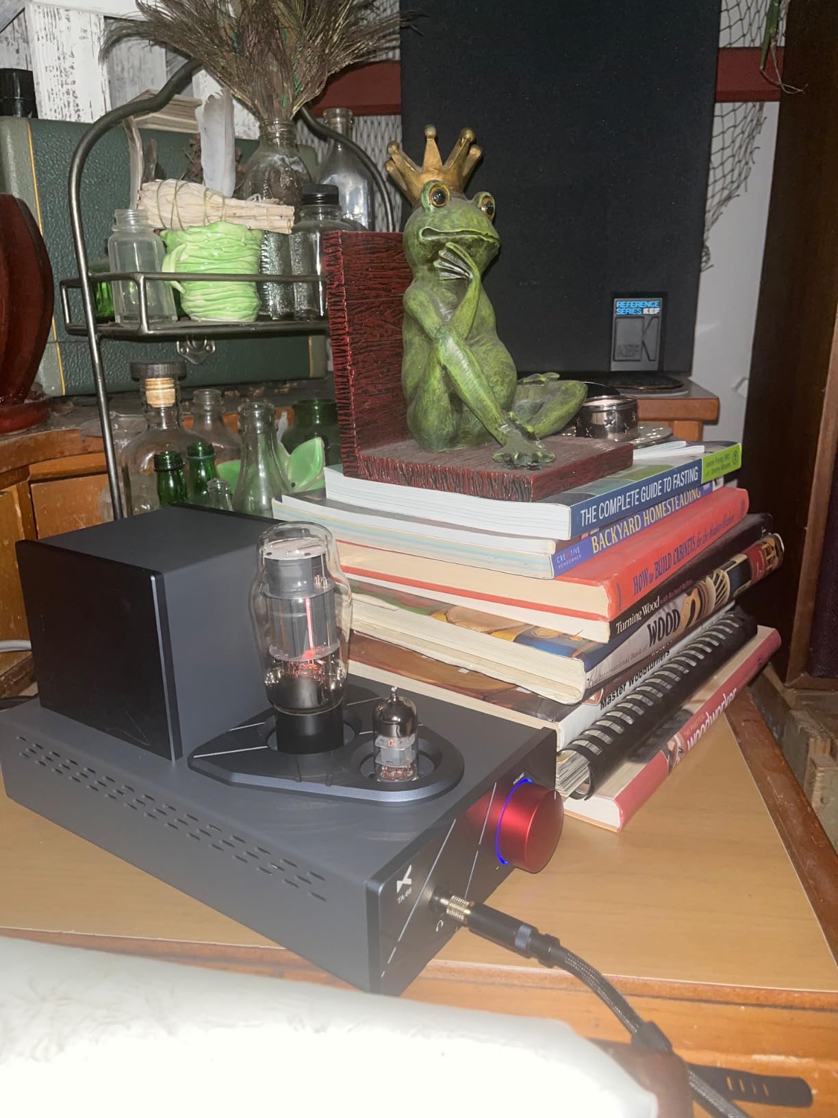 XDUOO TA-66 High-Performance Tube Amplifier customer photo 2