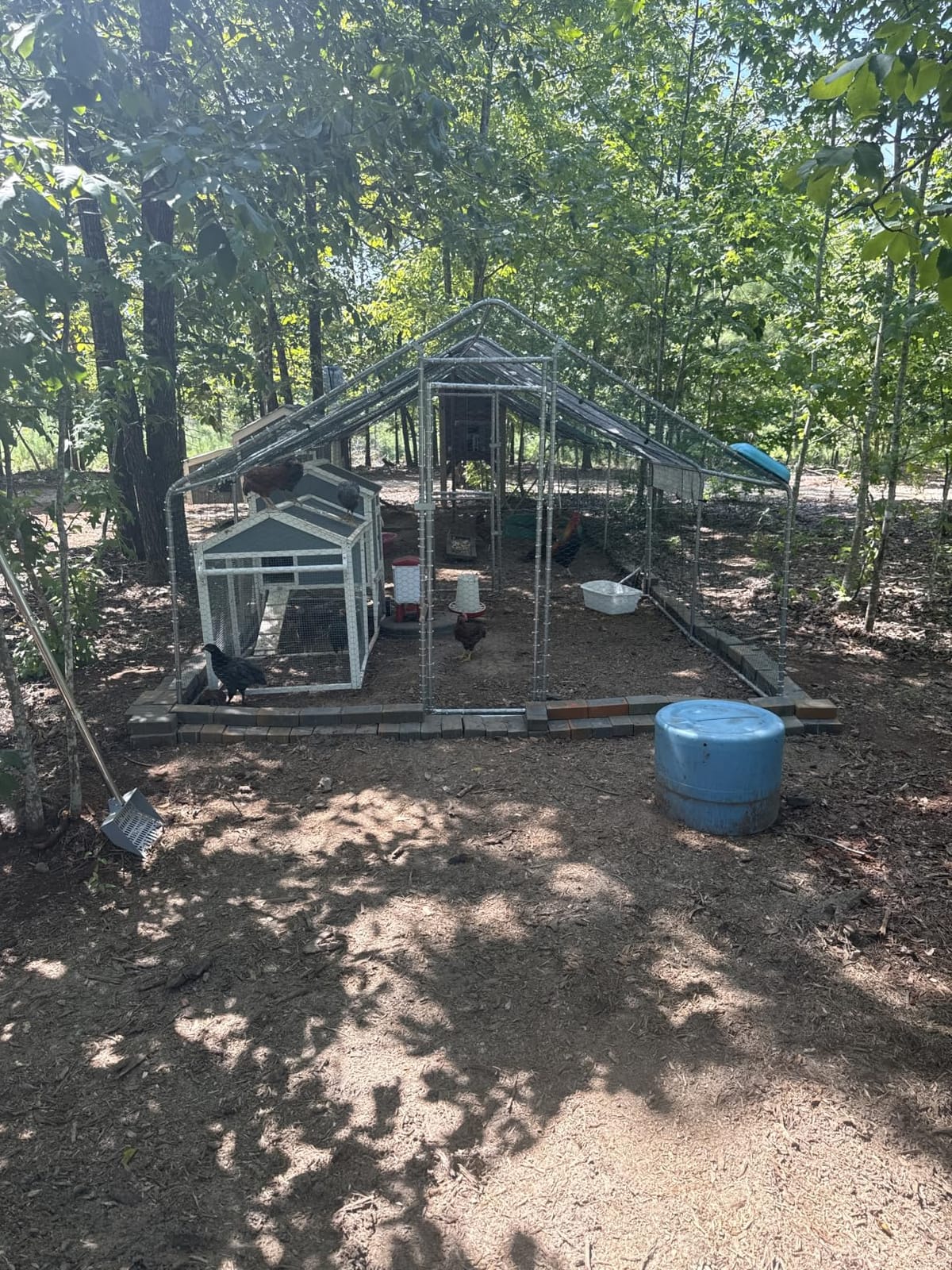 Outvita Chicken Coop, 19.5×10 FT Large Metal Chicken House, Poultry Habitat Cage with Waterproof Cover, Walk-in Chicken Run Pen for Small Animals, Yard, Farm, Patio customer photo 1
