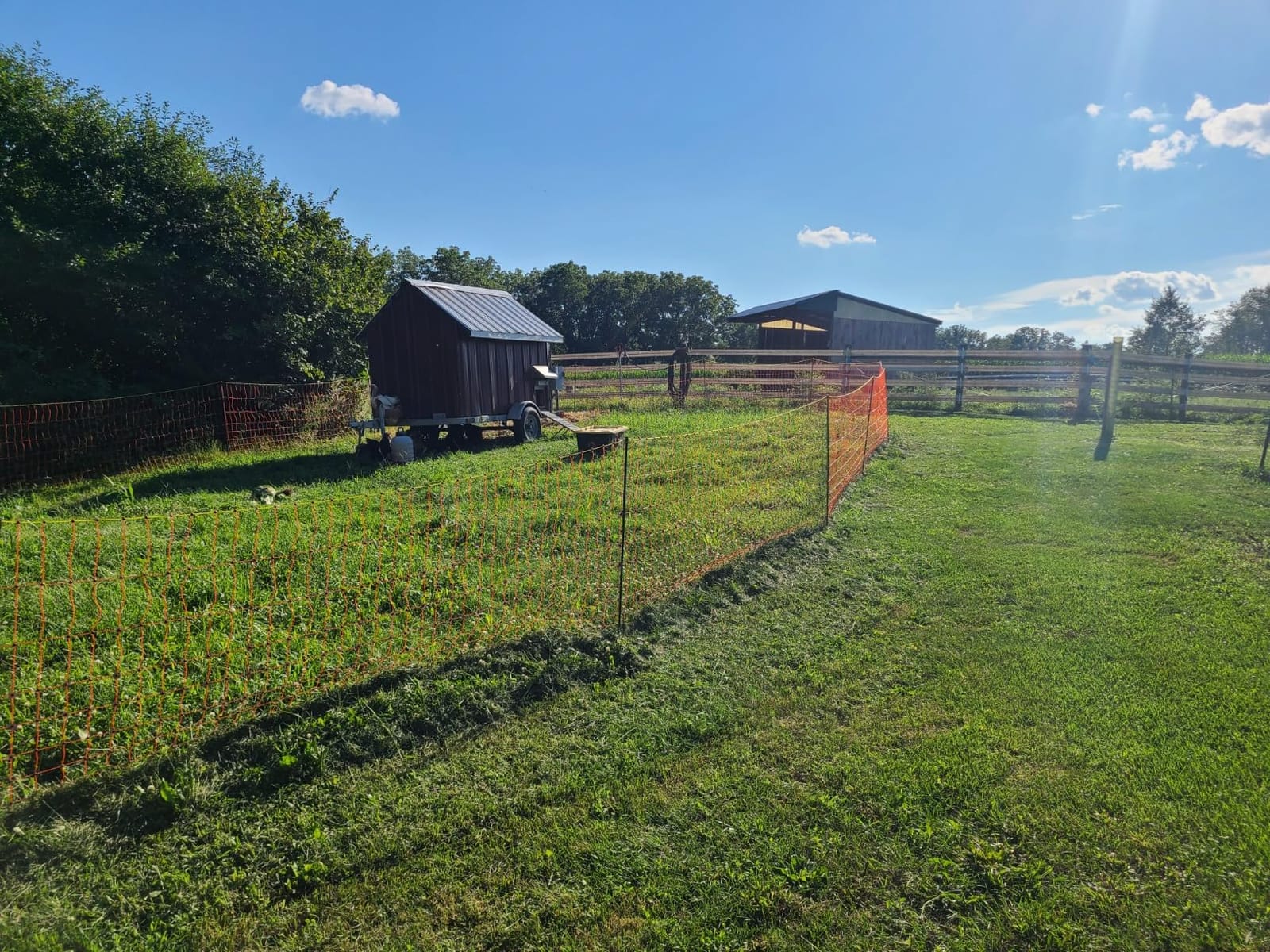 Pet & Livestock HQ Electric Fence Poultry Netting 48