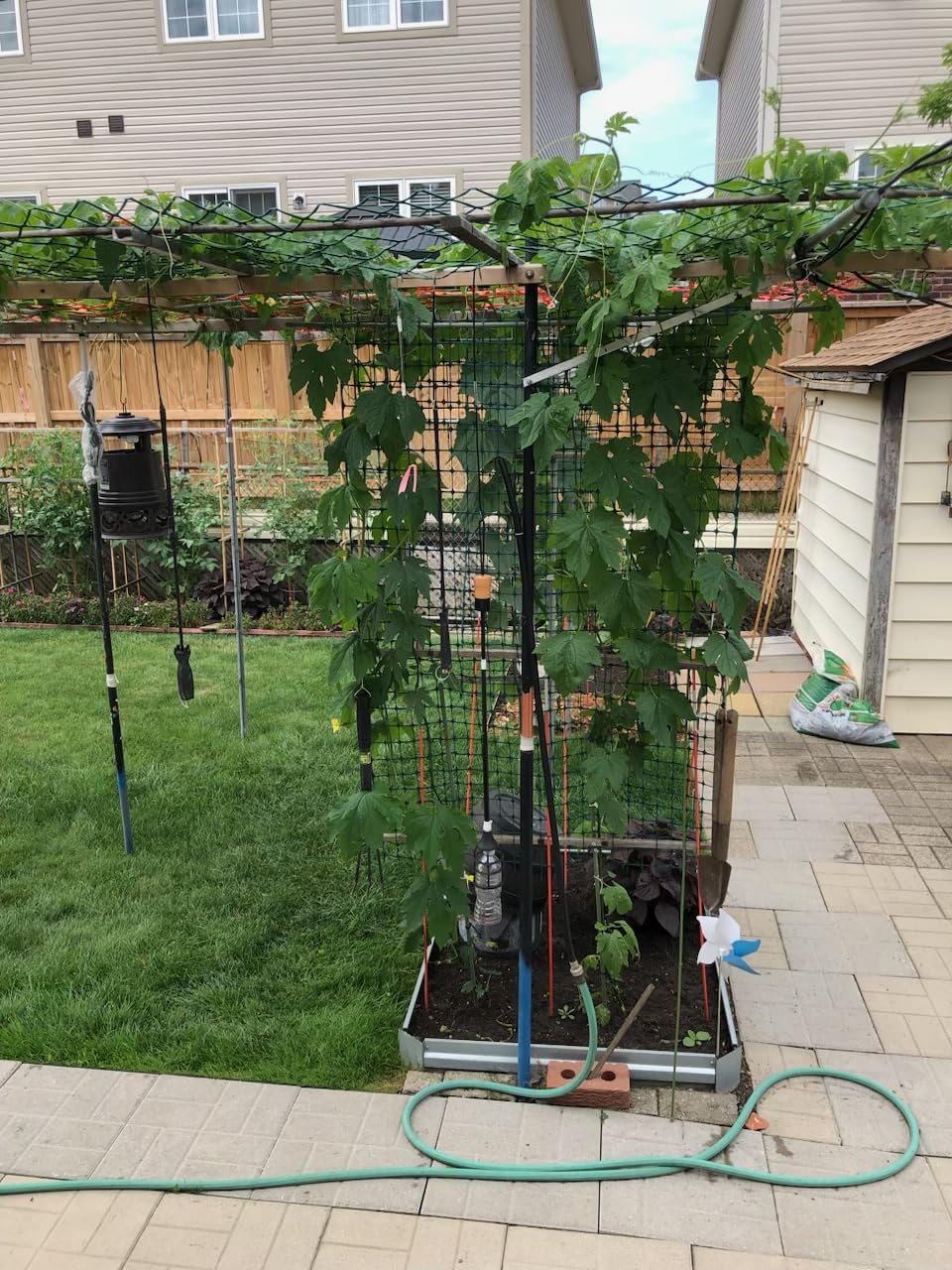 Bonviee Drip Irrigation System Kit for Garden Watering, 230FT Quick Connect customer photo 2