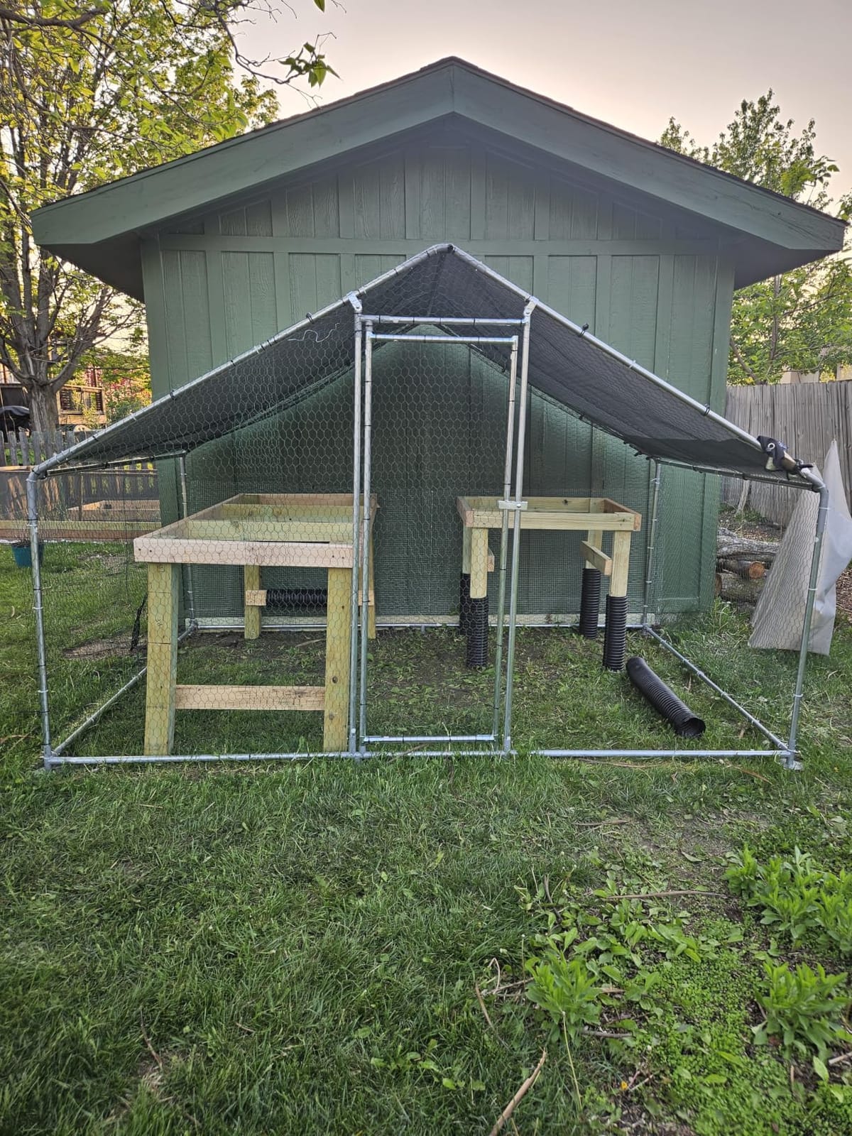 VEVOR Large Metal Chicken Coop, 19.7x9.8x6.5ft Walk-in Chicken Runs for Yard with Cover, Spire Roof Hen House with Security Lock for Outdoor and Backyard, Farm, Duck Rabbit Cage Poultry Pen customer photo 1