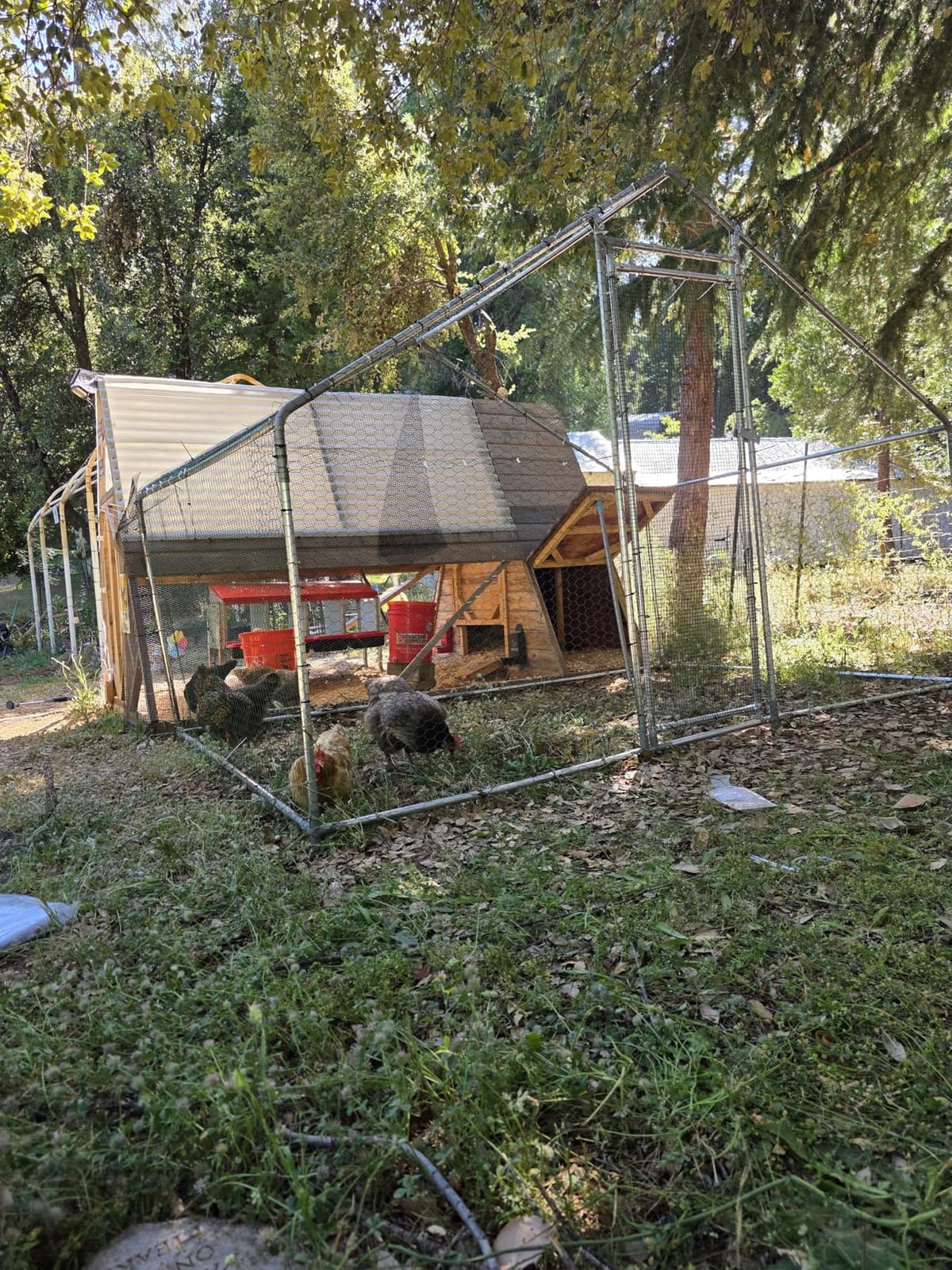 VEVOR Large Metal Chicken Coop, 19.7x9.8x6.5ft Walk-in Chicken Runs for Yard with Cover, Spire Roof Hen House with Security Lock for Outdoor and Backyard, Farm, Duck Rabbit Cage Poultry Pen customer photo 2