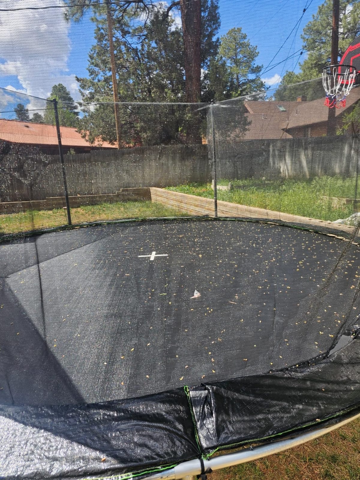 SkyBound 10ft 12ft 14ft 15ft 16ft Large Trampoline Outdoor Backyard ASTM Approved Trampolines for Kids & Adults customer photo 1