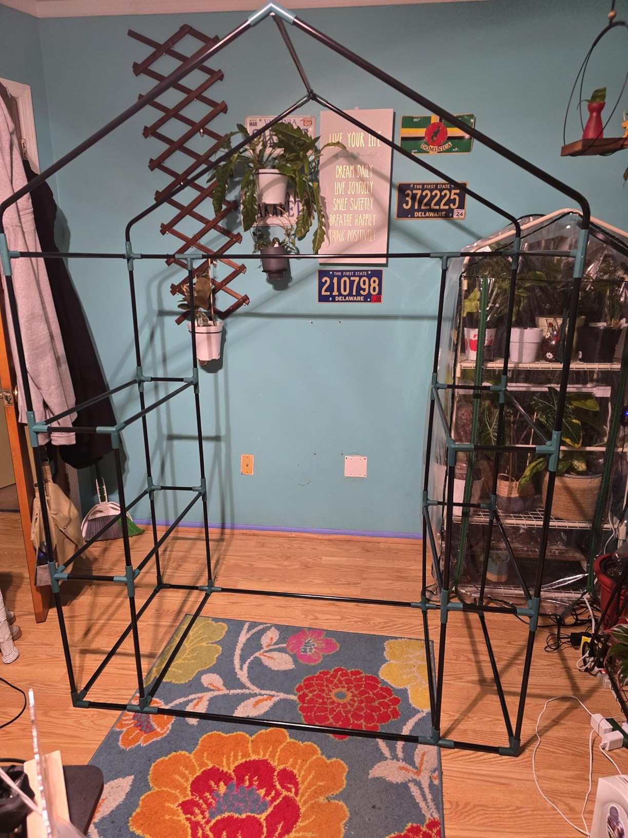 Greengro Greenhouse, 28 x 57 x 76'' Walk in Greenhouses for Outdoors Indoor customer photo 2