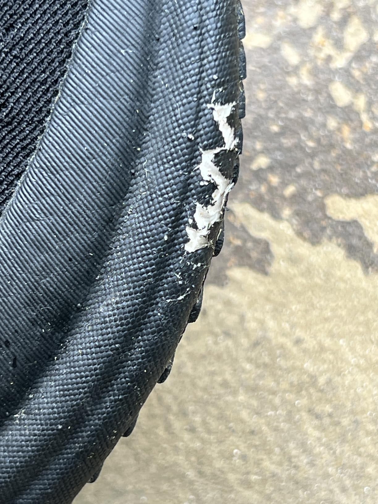 Saucony Triumph 23 customer photo 1