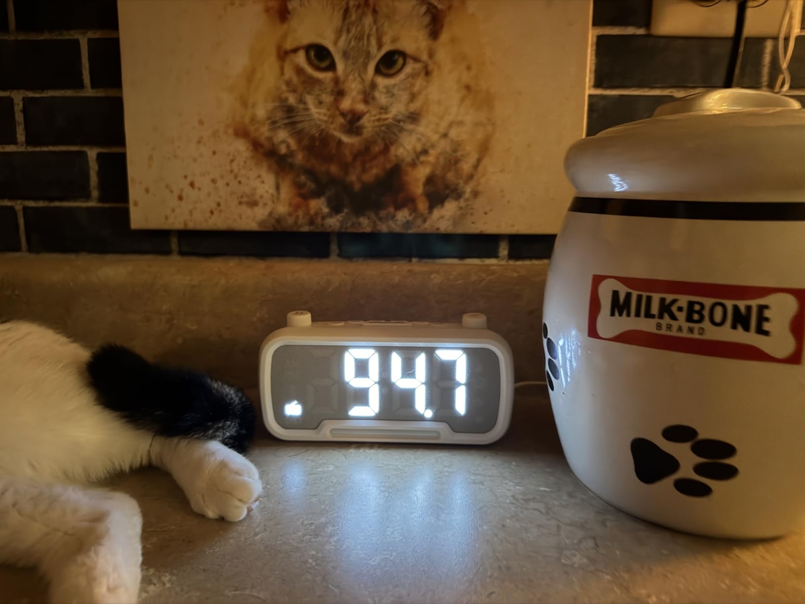 Clock Radio for Bedroom, Alarm Clock with FM Radio & Bluetooth Speaker customer photo 1