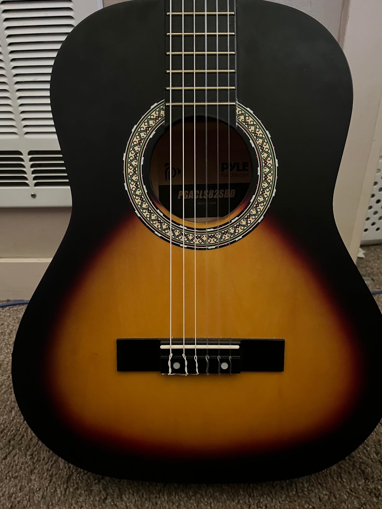 Pyle Premium Electric Acoustic Guitar Kit, 41