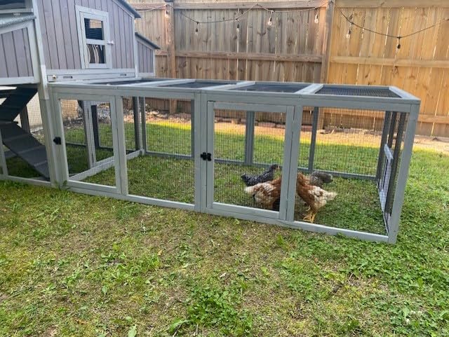 Large Chicken Coop - Unique Folding Design for Easy to Set Up - Chicken House for Outdoor with Two Nesting Box, Leakproof Pull-on Tray, and UV-Resistant Roof Panel customer photo 2