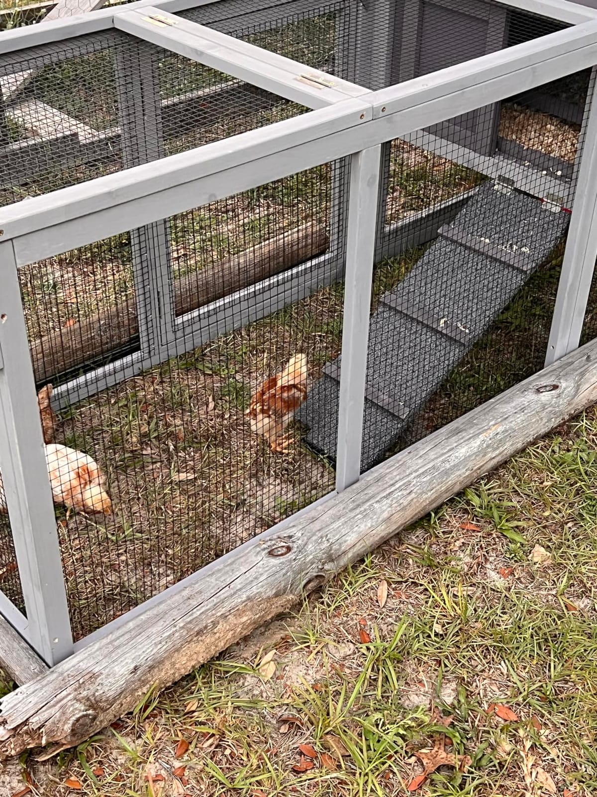 Large Chicken Coop for 6-8 Chickens,Wooden Hen House with Run,Outdoor Duck Coop with Nesting Box, Leakproof Pull-on Tray customer photo 2