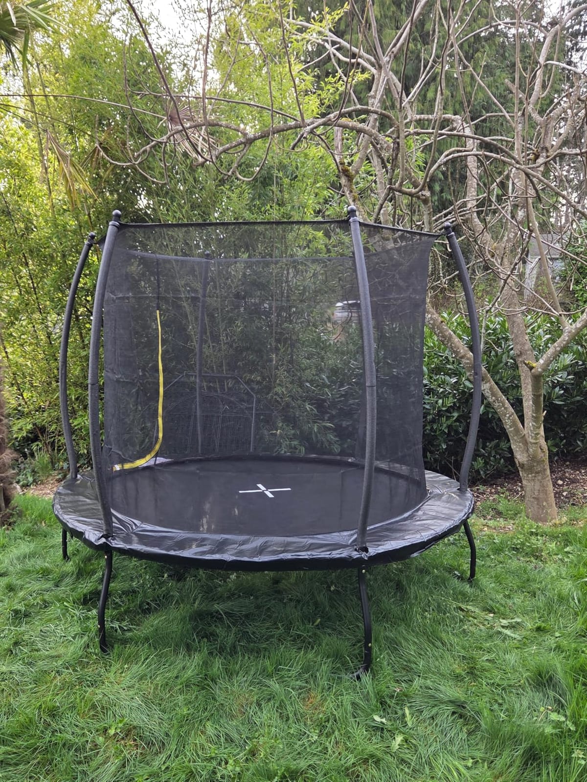 YUMPIE 8FT 10FT 12FT 14FT 16FT Quick-Connect Outdoor Trampoline with Ladder customer photo 2