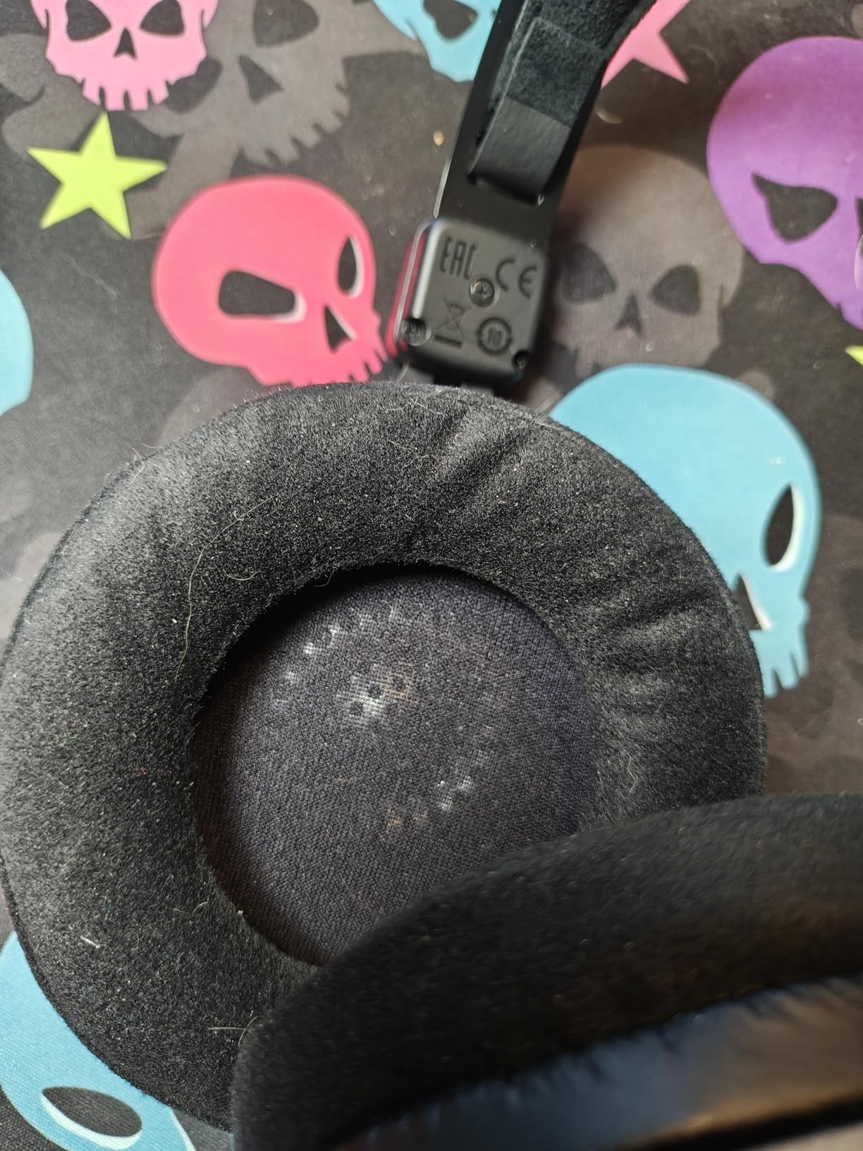 Audio-Technica ATH-R70XA Open-Back Headphones customer photo 2