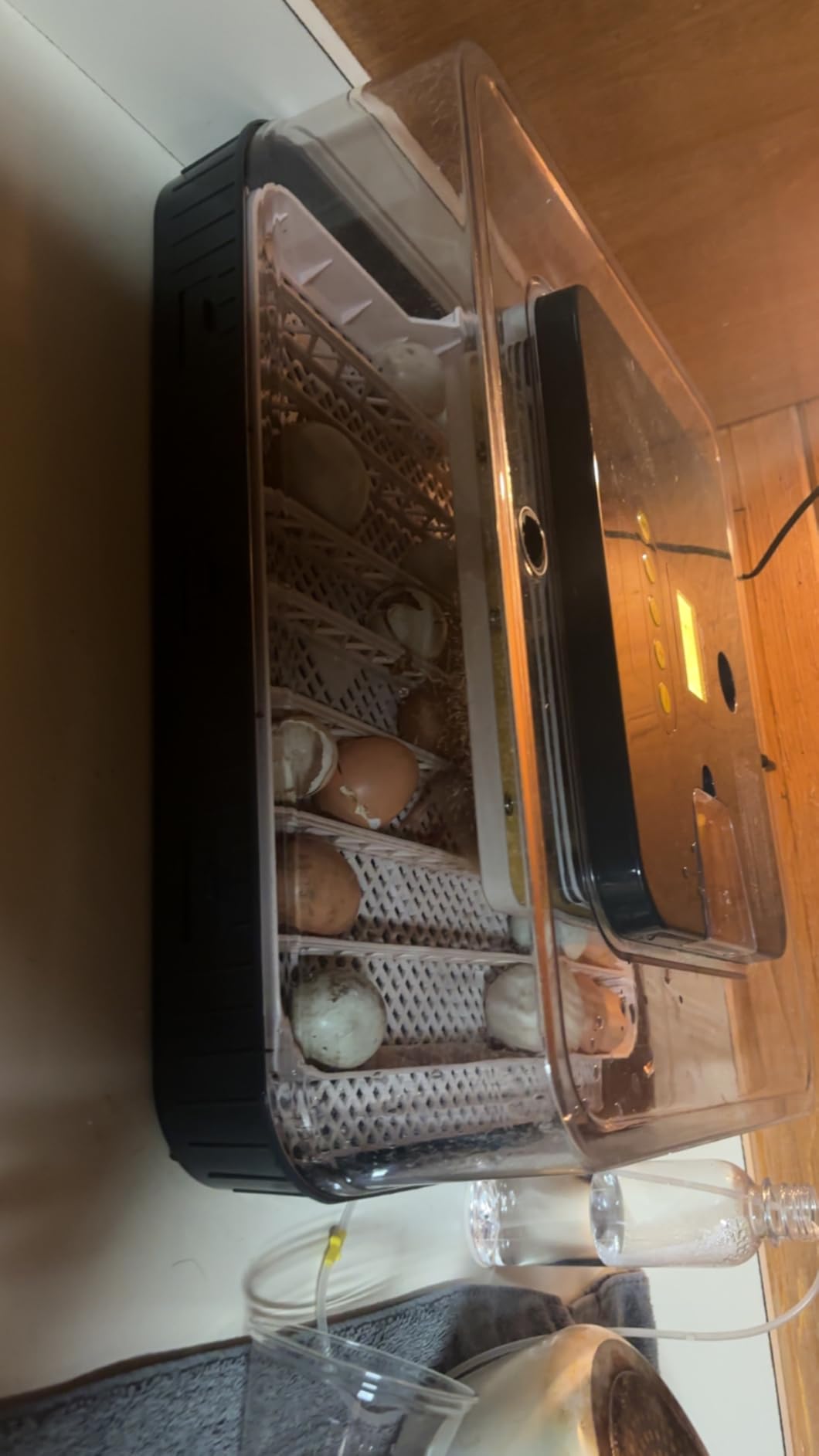 Sailnovo 56 Egg Incubator for Hatching Eggs with Automatic Egg Turning Gray customer photo 2