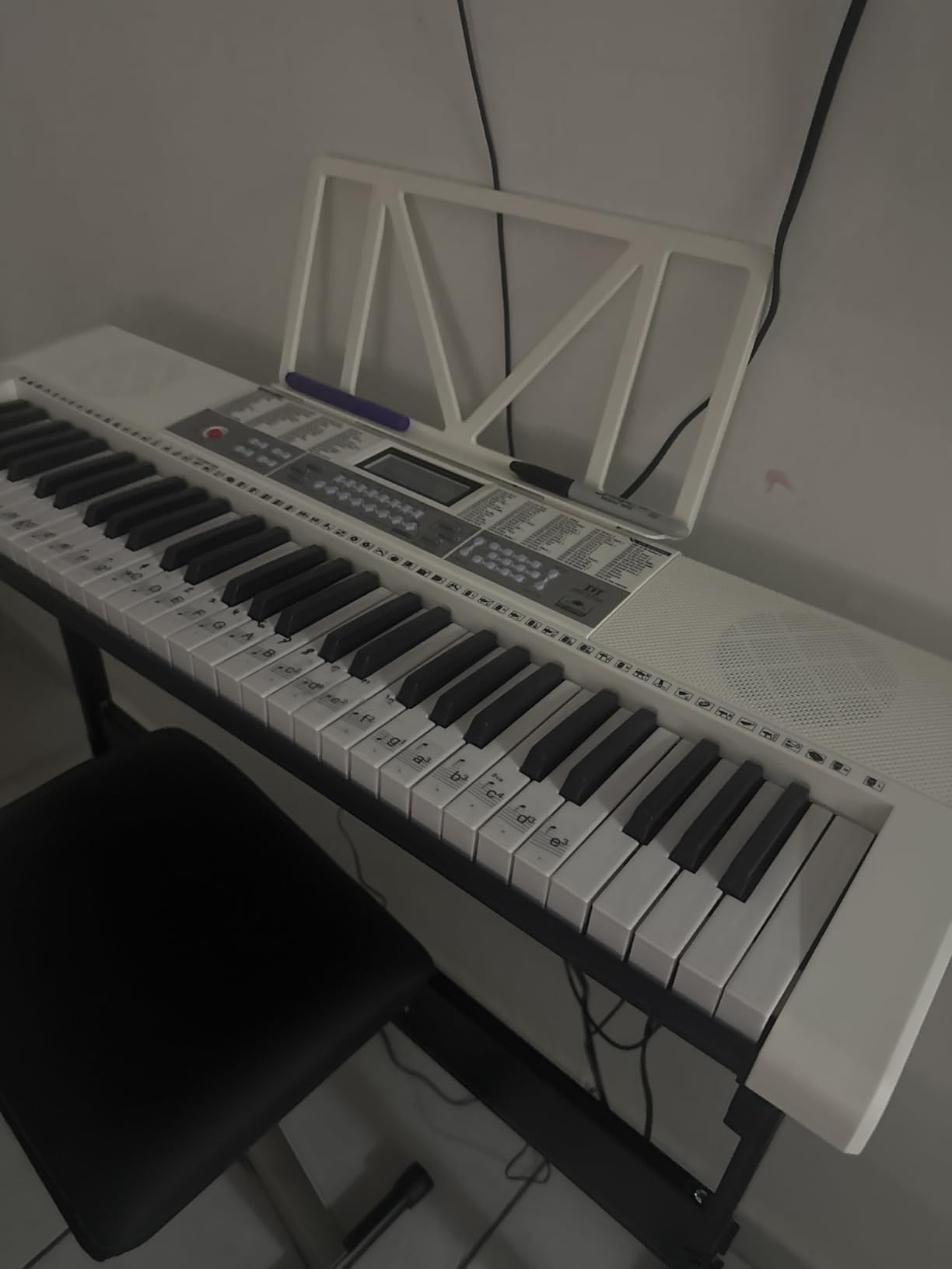 MUSTAR Keyboard Piano, 61 Key Electric Piano Keyboard with Light-Up Keys customer photo 2