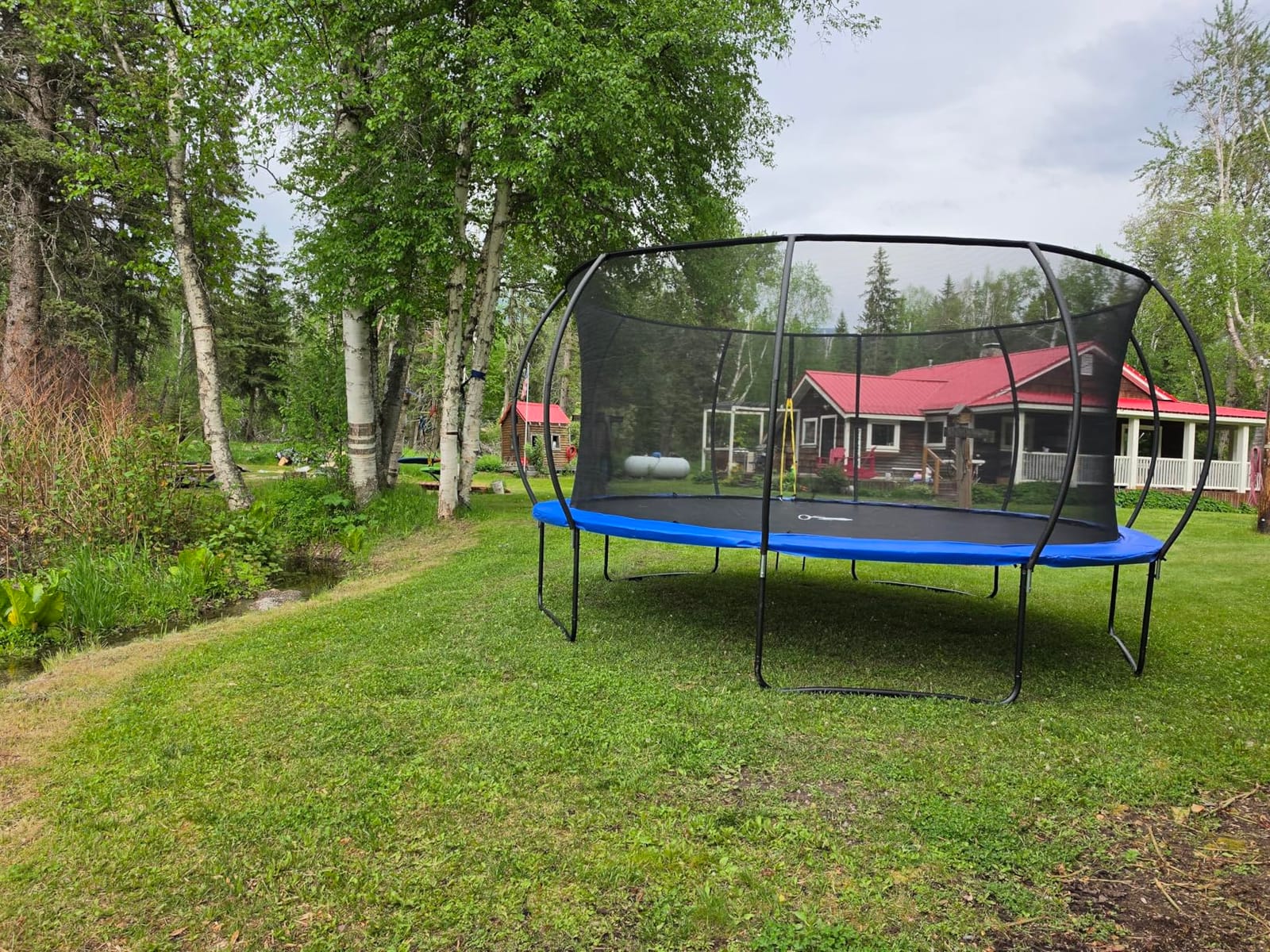 8FT 10FT 12FT 14FT 16FT Outdoor Trampoline with Safety Enclosure Net customer photo 1