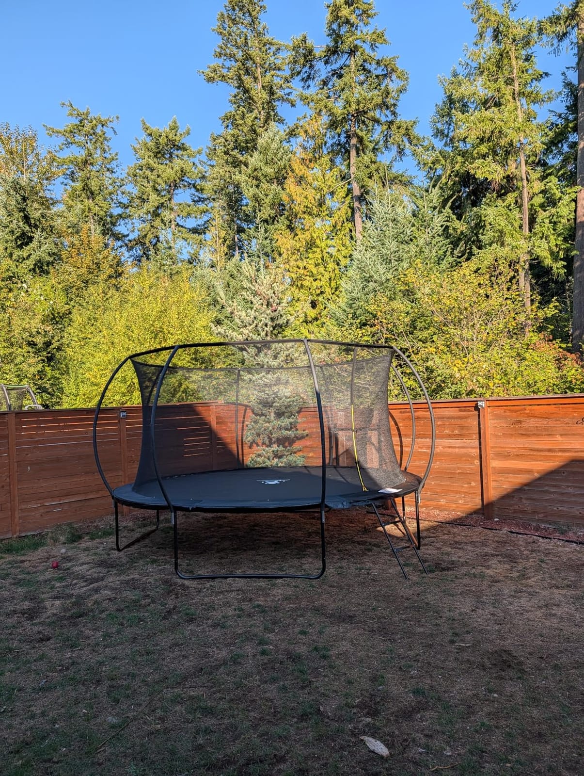 8FT 10FT 12FT 14FT 16FT Outdoor Trampoline with Safety Enclosure Net customer photo 2