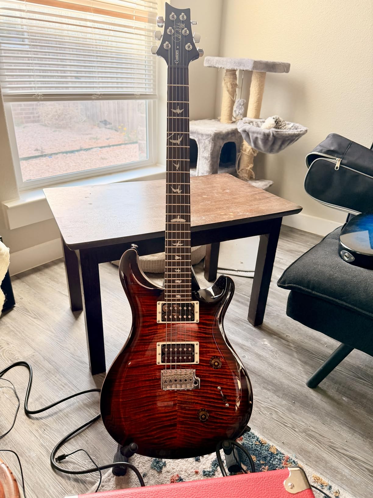 PRS SE Custom 24 Exclusive, Orange Tiger Smokeburst customer photo 2