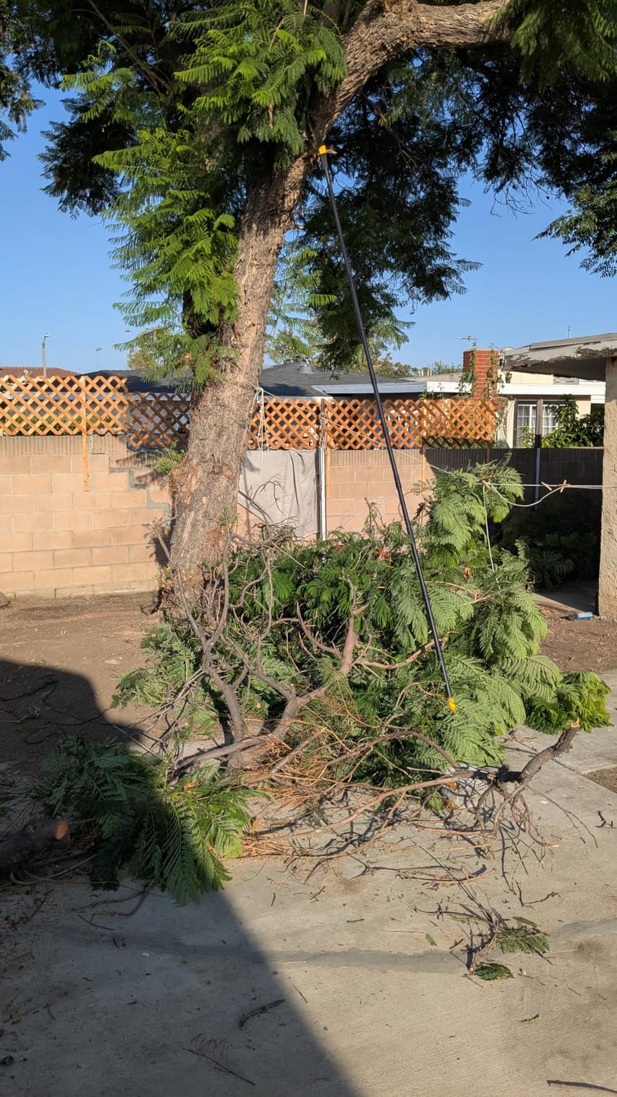 14.5FT Pole Saw with Adjustable Length for Tree Trimming, Lightweight Manual Pruning Saw with Mn Steel Blade, Long Extension Branch Cutter High Reach for Yard, Garden, Patio & Forestry Use customer photo 2