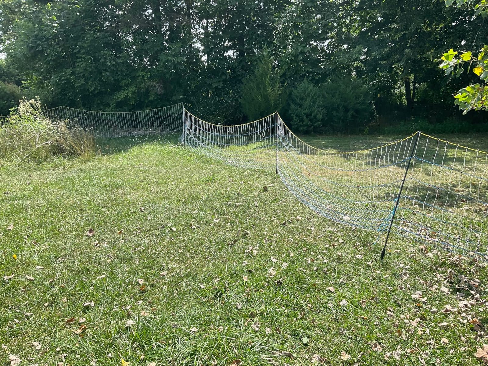 PPOLB Electric Poultry Fence Netting - 164'L x 41.5