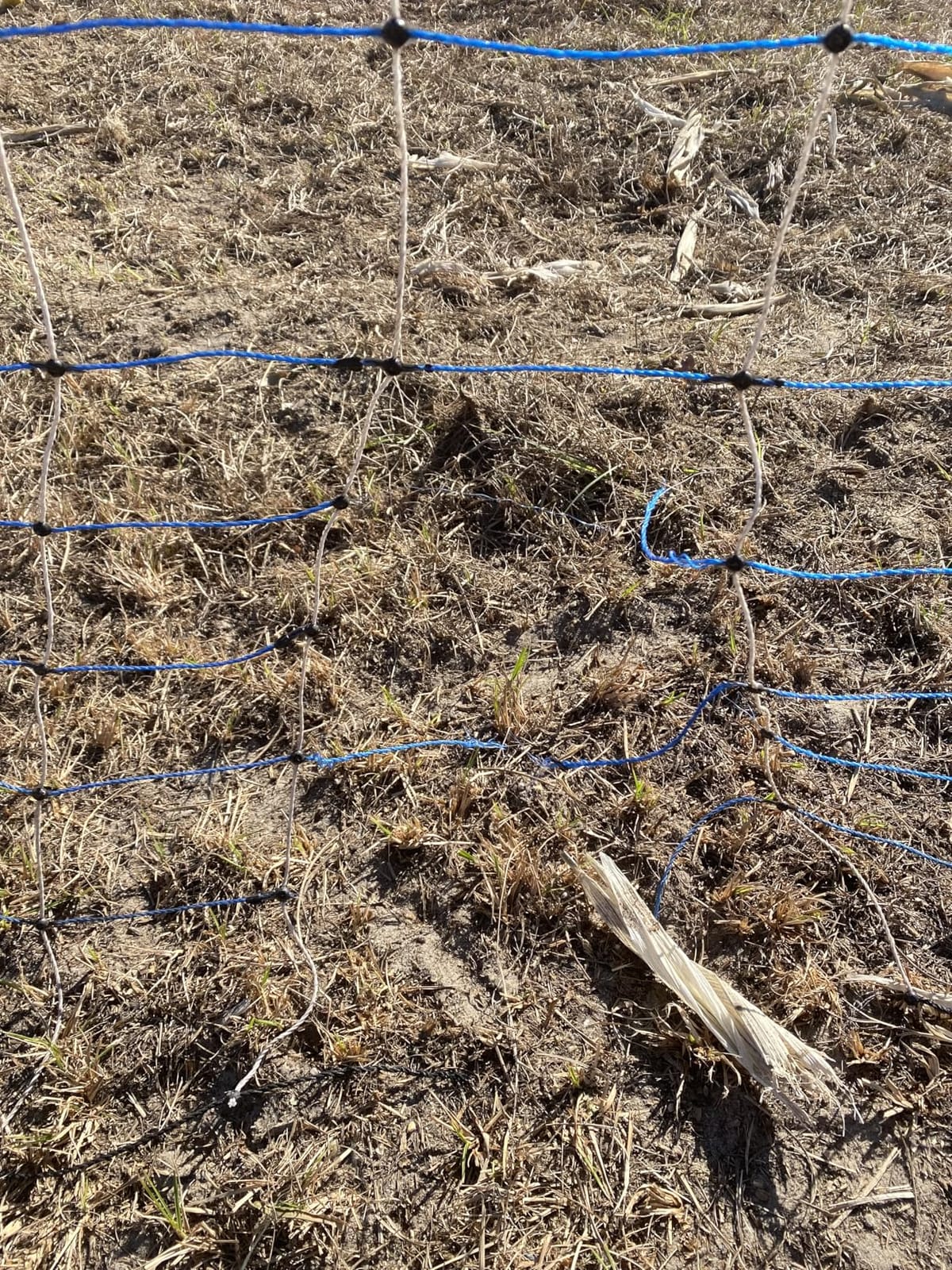 PPOLB Electric Poultry Fence Netting - 164'L x 41.5