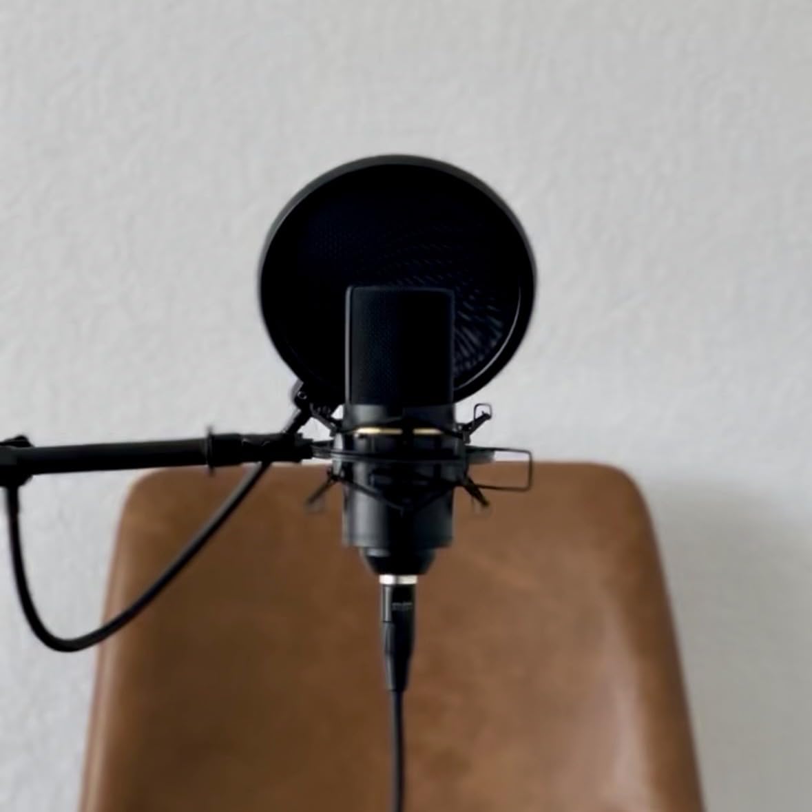 NEEWER Microphone Isolation Ball Shield Pop Filter, Portable Windscreen Mic Cover for Studio Vocal Booth Recording, Sound Absorbing Five Layer Foam Acoustic Equipment for 43-68 mm Mics, MS012 customer photo 2