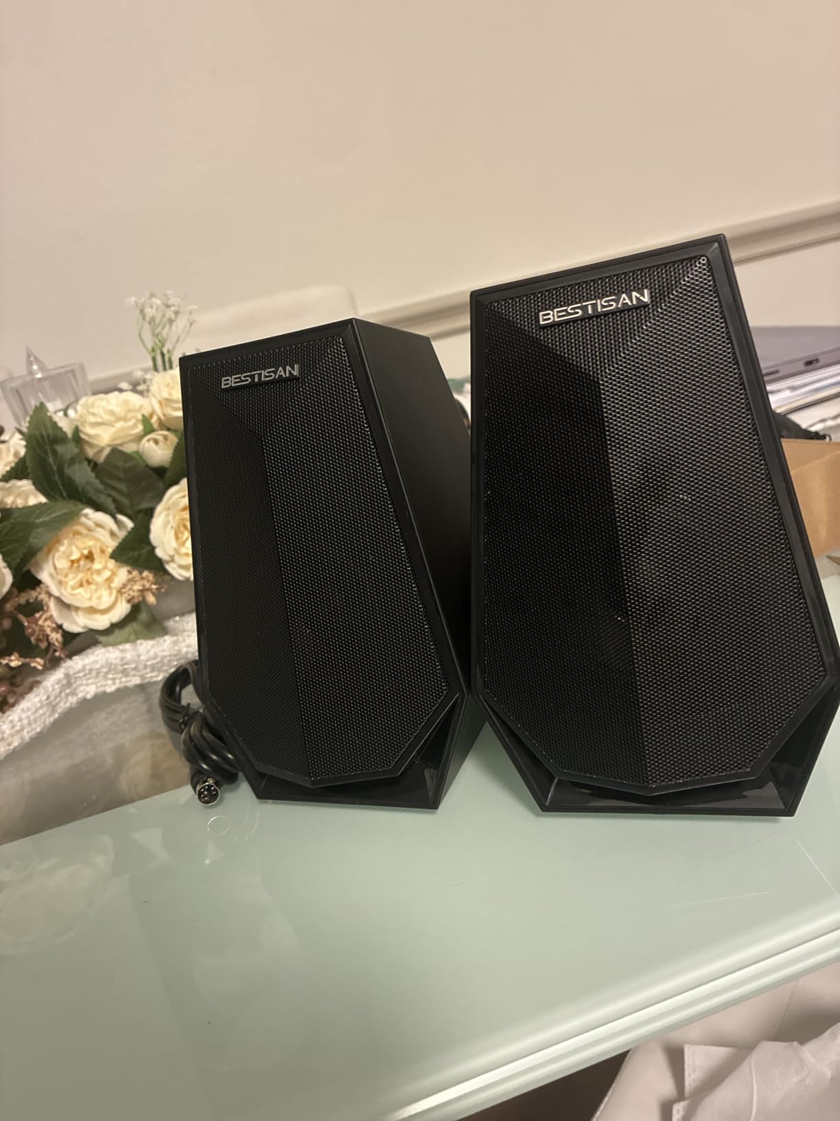 BESTISAN Computer Gaming Speakers for Desktop PC customer photo 1
