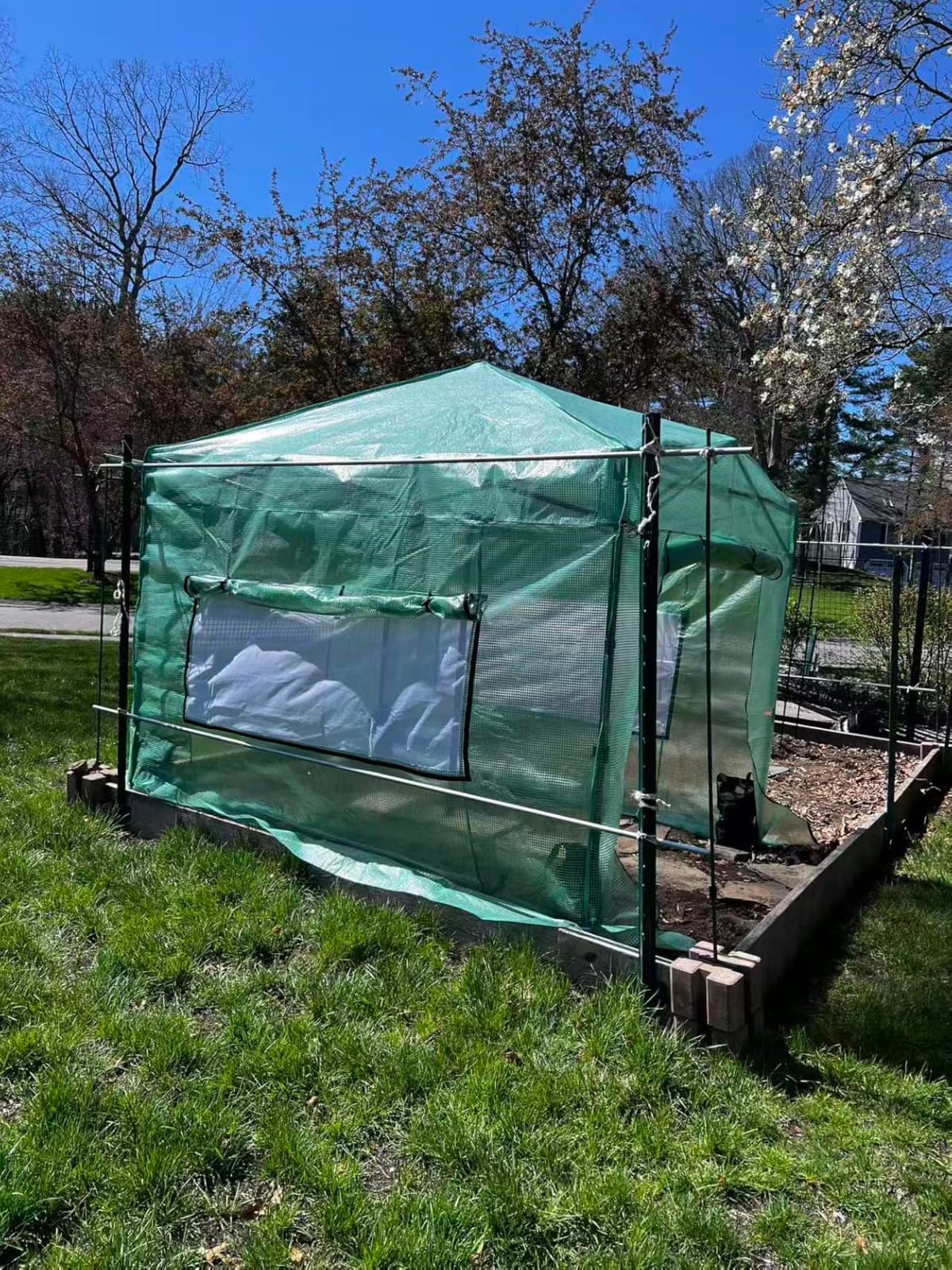 CROWN SHADES Walk-in 8x6 Pop Up Portable Greenhouse,White customer photo 1