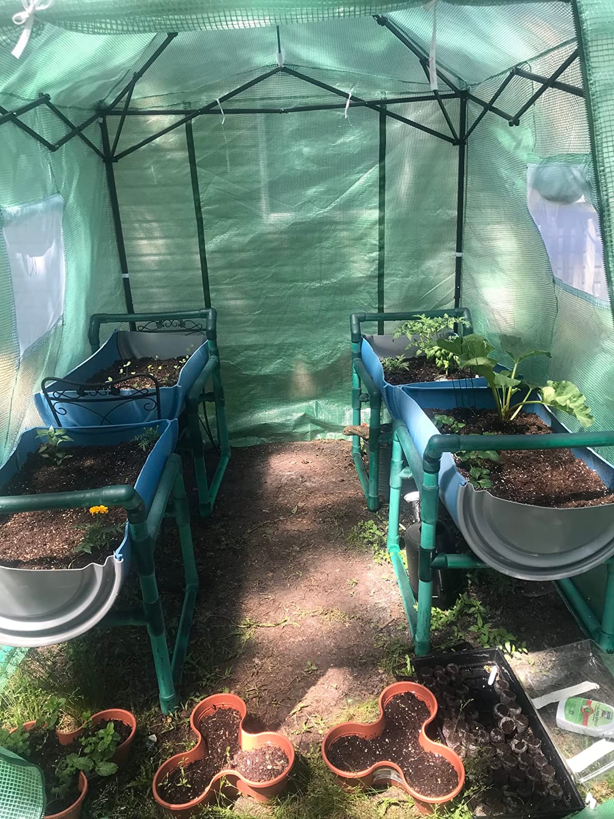 CROWN SHADES Walk-in 8x6 Pop Up Portable Greenhouse,White customer photo 2