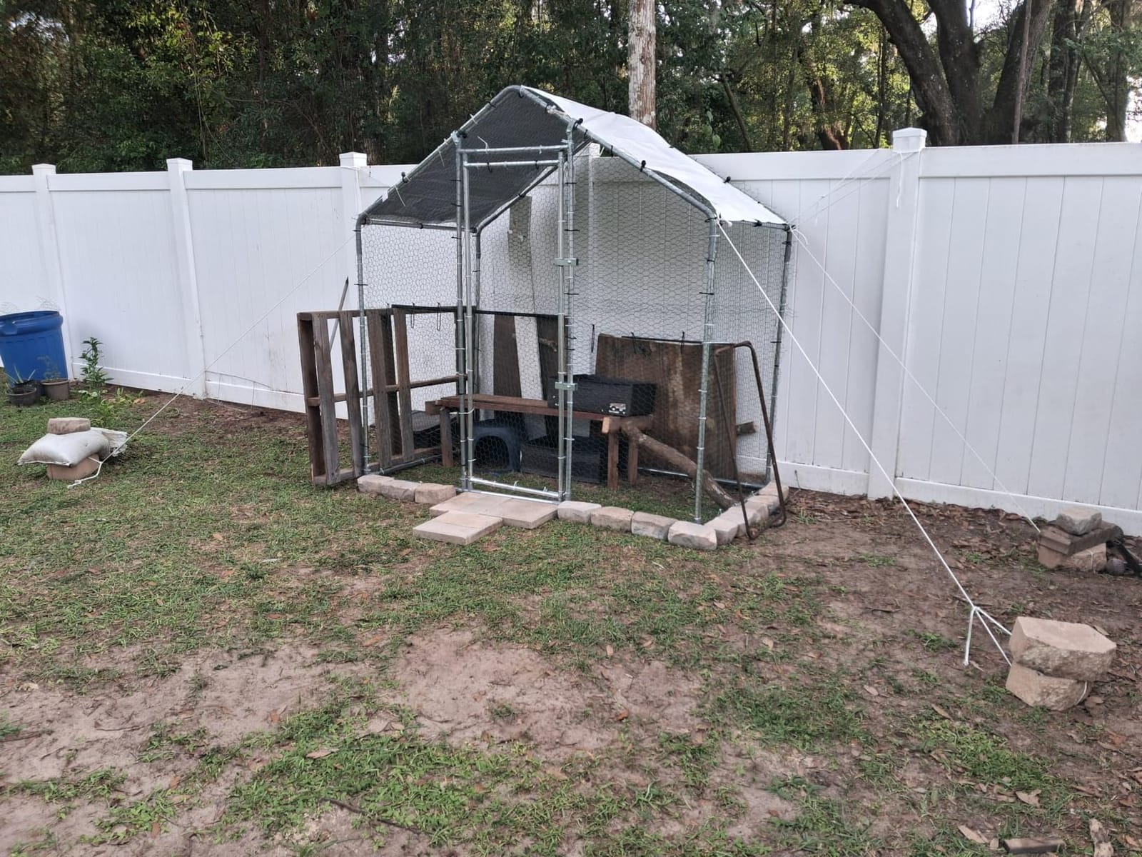 VEVOR Large Metal Chicken Coop,9.8 x 3.3 x 6.6 ft, Walk-in Chicken Run House with Waterproof Cover & Sturdy Frame, Spire Roof Poultry Cage Duck Pen for Rabbit Hen Goose Outdoor Backyard Farm Use customer photo 1
