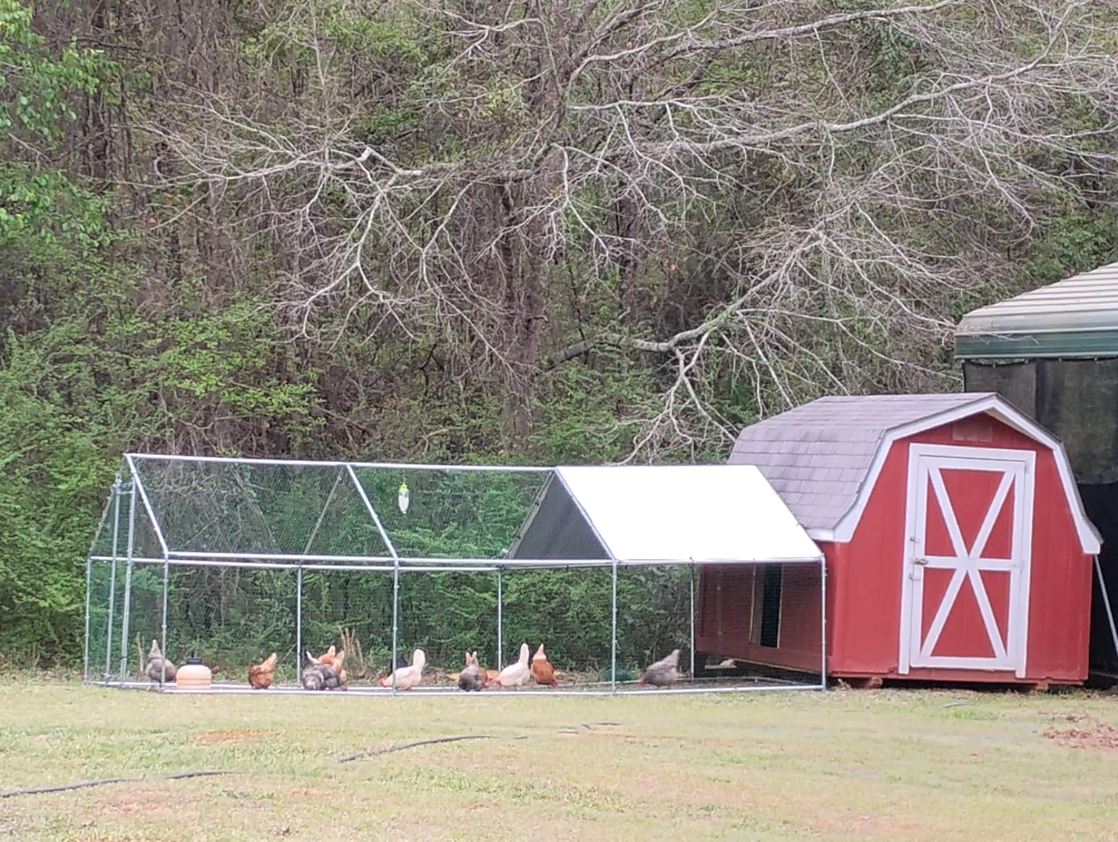 VEVOR Large Metal Chicken Coop,9.8 x 3.3 x 6.6 ft, Walk-in Chicken Run House with Waterproof Cover & Sturdy Frame, Spire Roof Poultry Cage Duck Pen for Rabbit Hen Goose Outdoor Backyard Farm Use customer photo 2