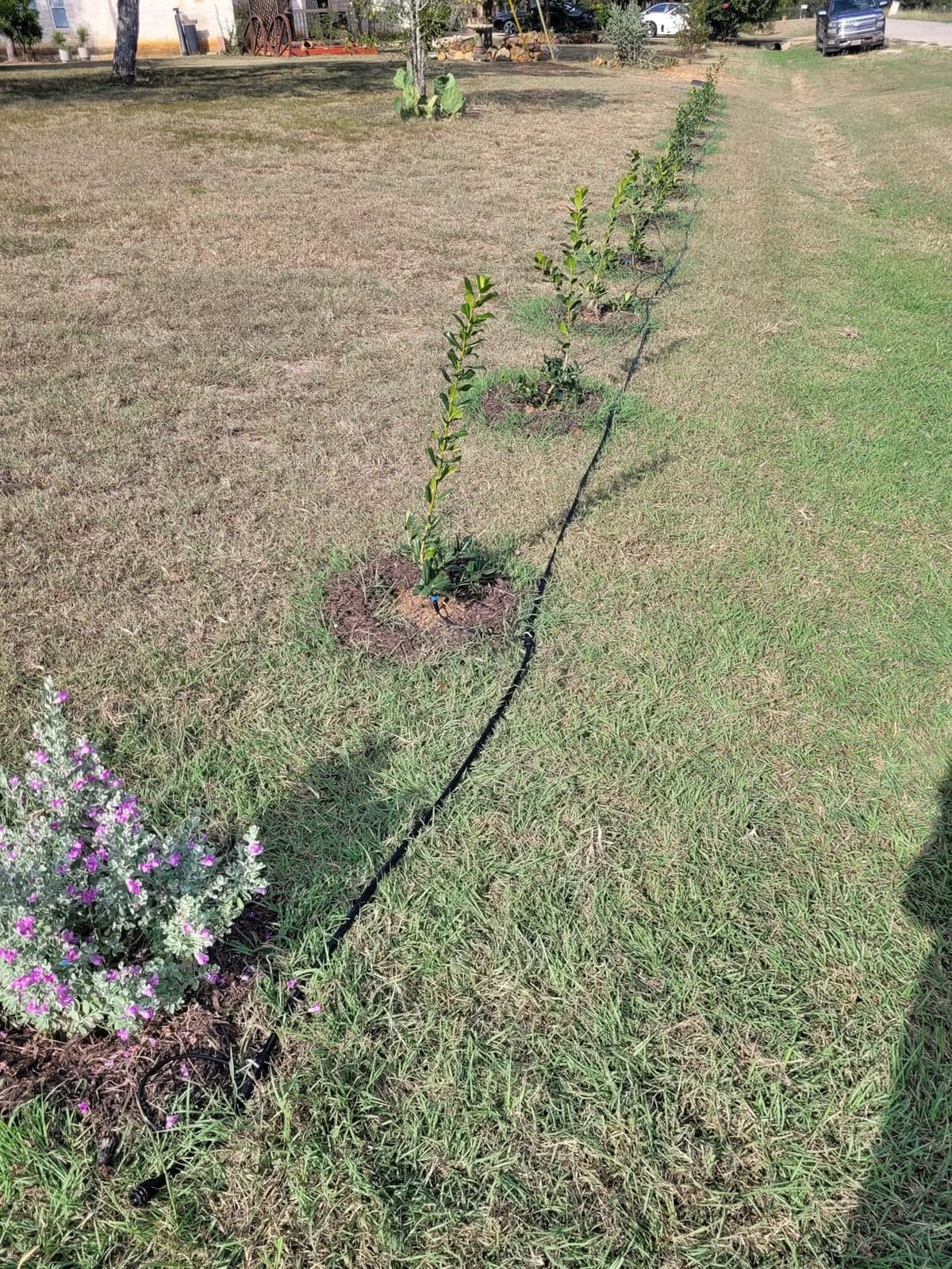 MIXC 300FT Drip Irrigation System Kit, Automatic Garden Misting Watering System with 100FT 1/2