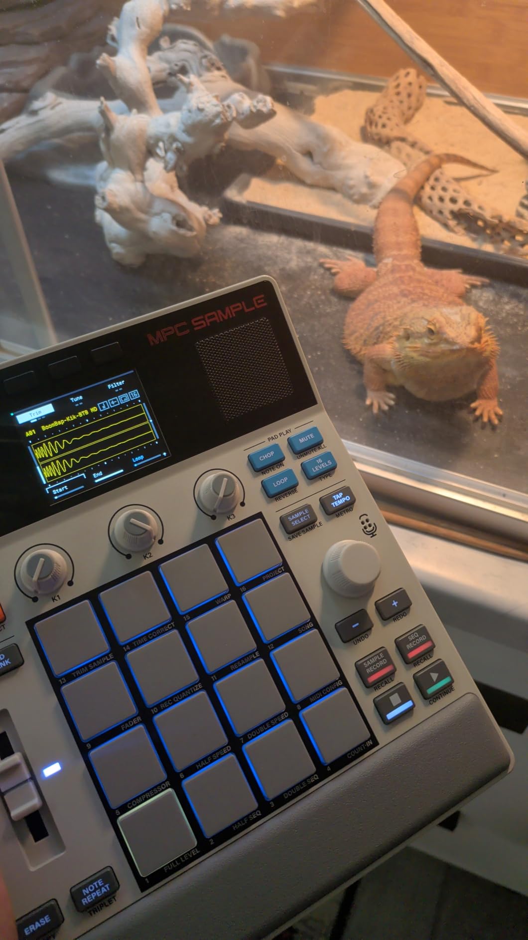 Akai Professional MPC Sample Portable Sampler | Standalone, Rechargeable Battery, USB-C, Speaker, Microphone, for Sampling, Sequencing and Music Production customer photo 1